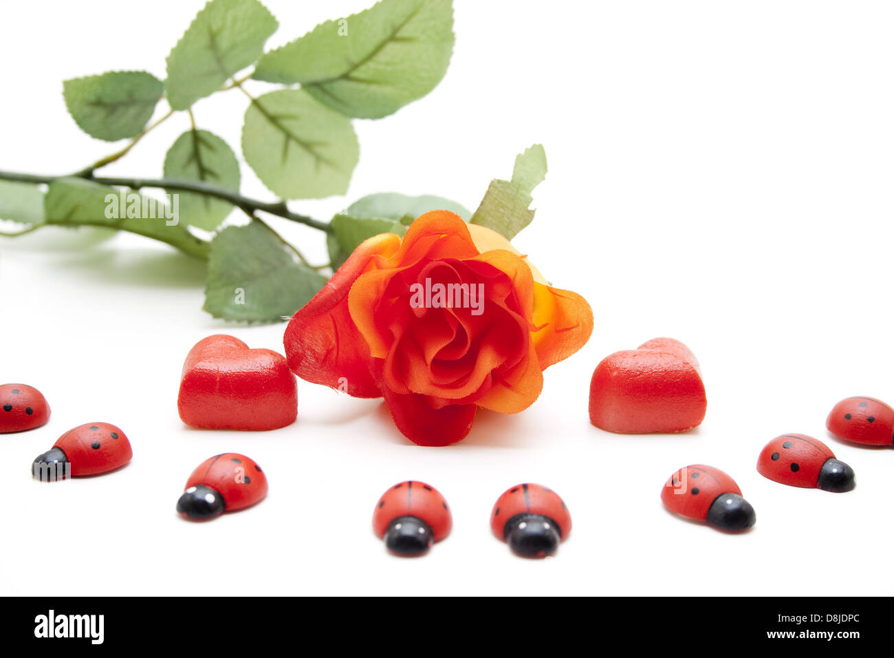 Ladybug and rose Stock Photo Alamy