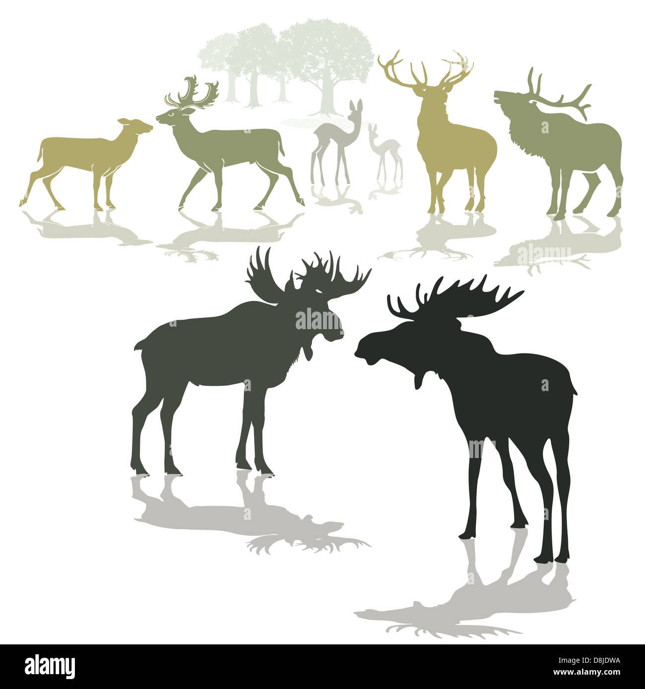 Elk, deer and fawn Stock Photo
