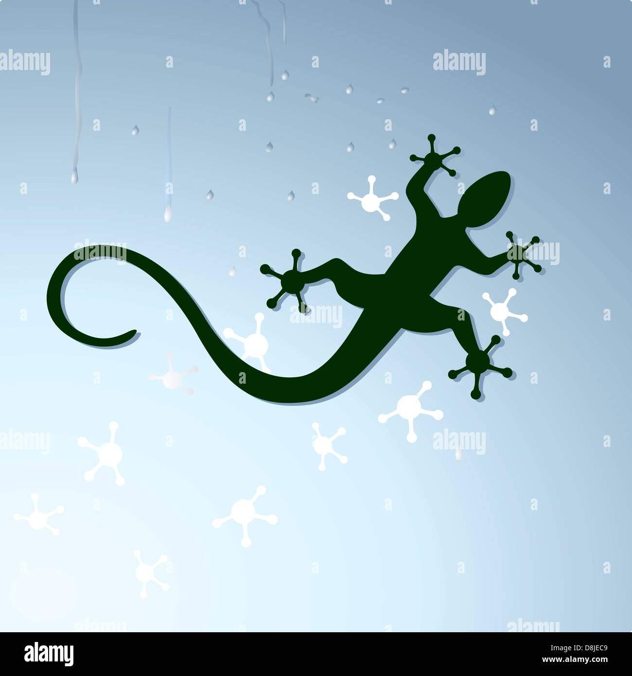 gecko, reptile Stock Photo