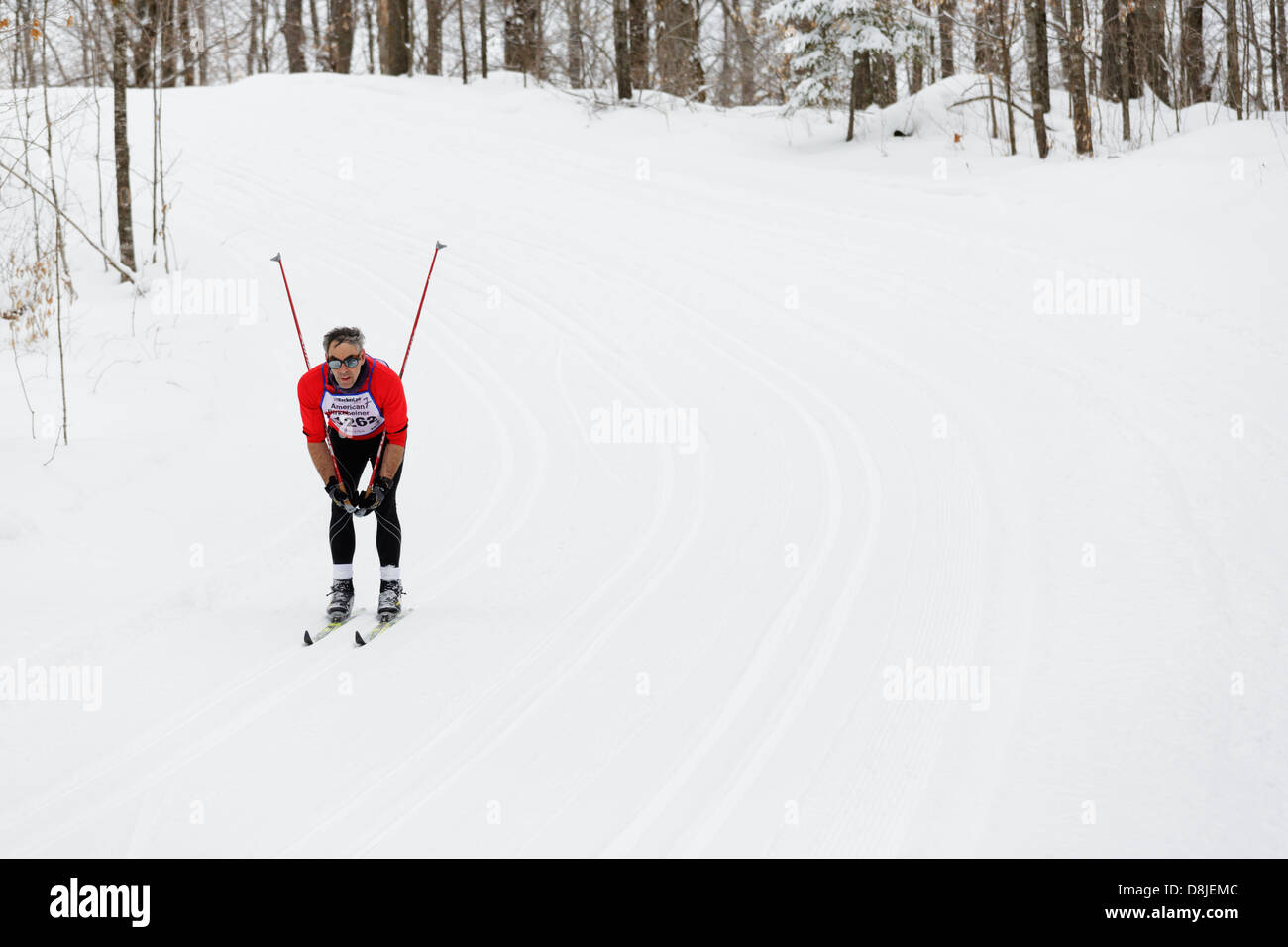 A classic style skier tucks and glides downhill on the trail between Cable and Hayward Wisconsin during the American Birkebeiner Stock Photo
