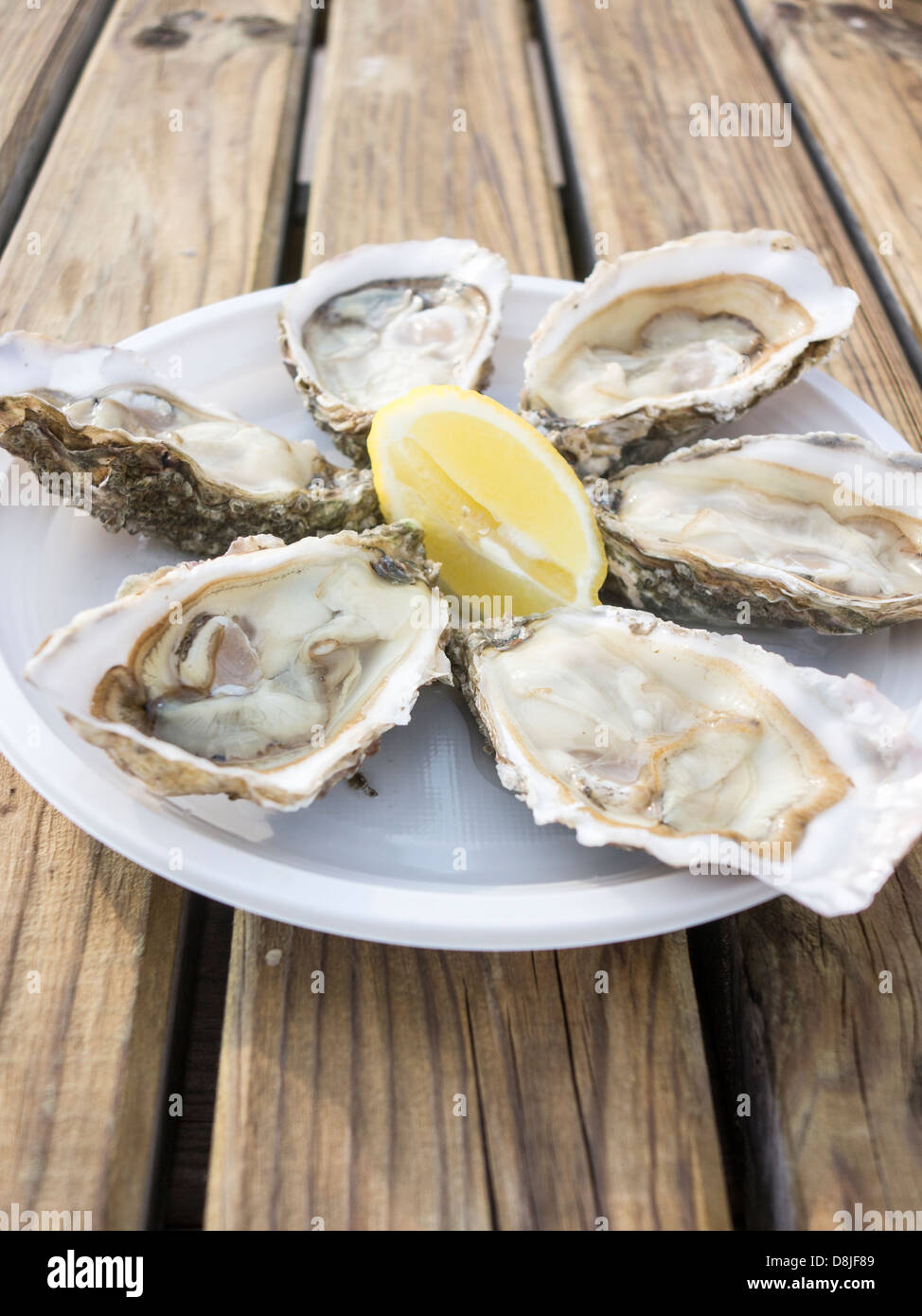 France charente maritime fouras oysters hi-res stock photography and images  - Alamy