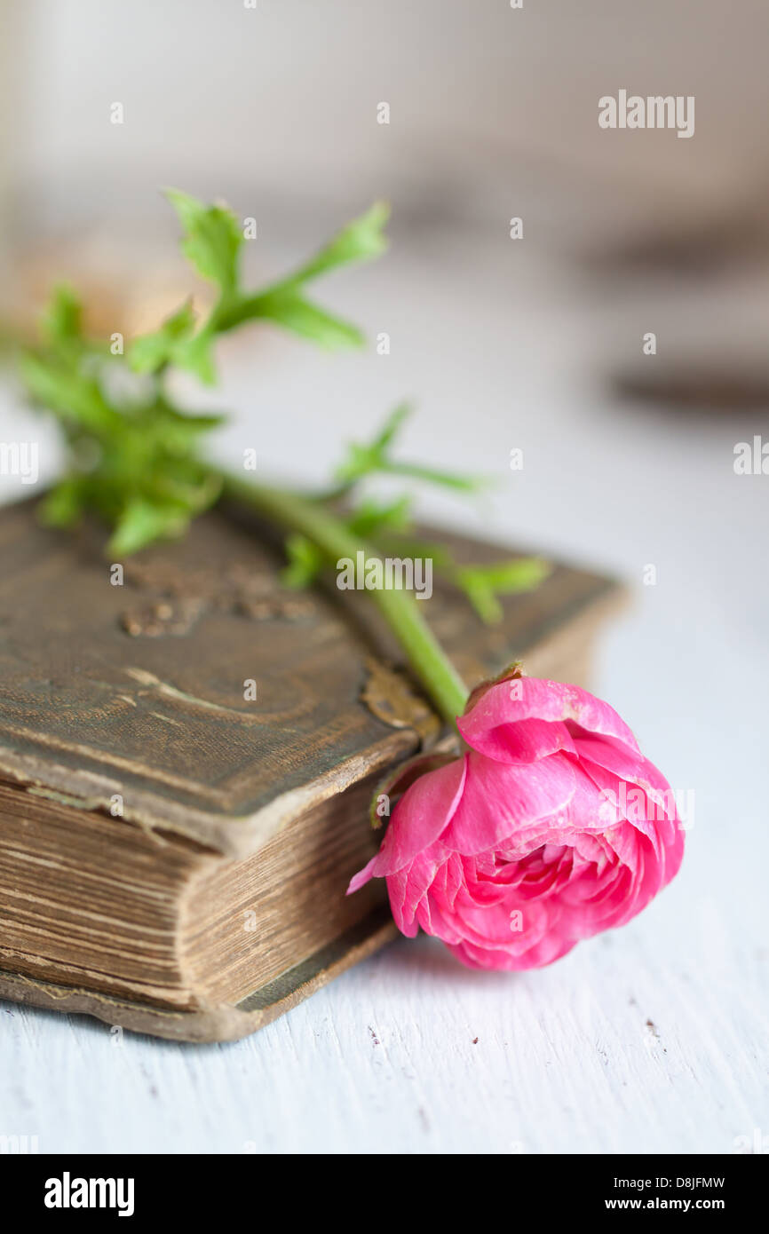 Закрыть книгу. Un livre sur. Un livre sur. Un livre sur. Un livre sur.