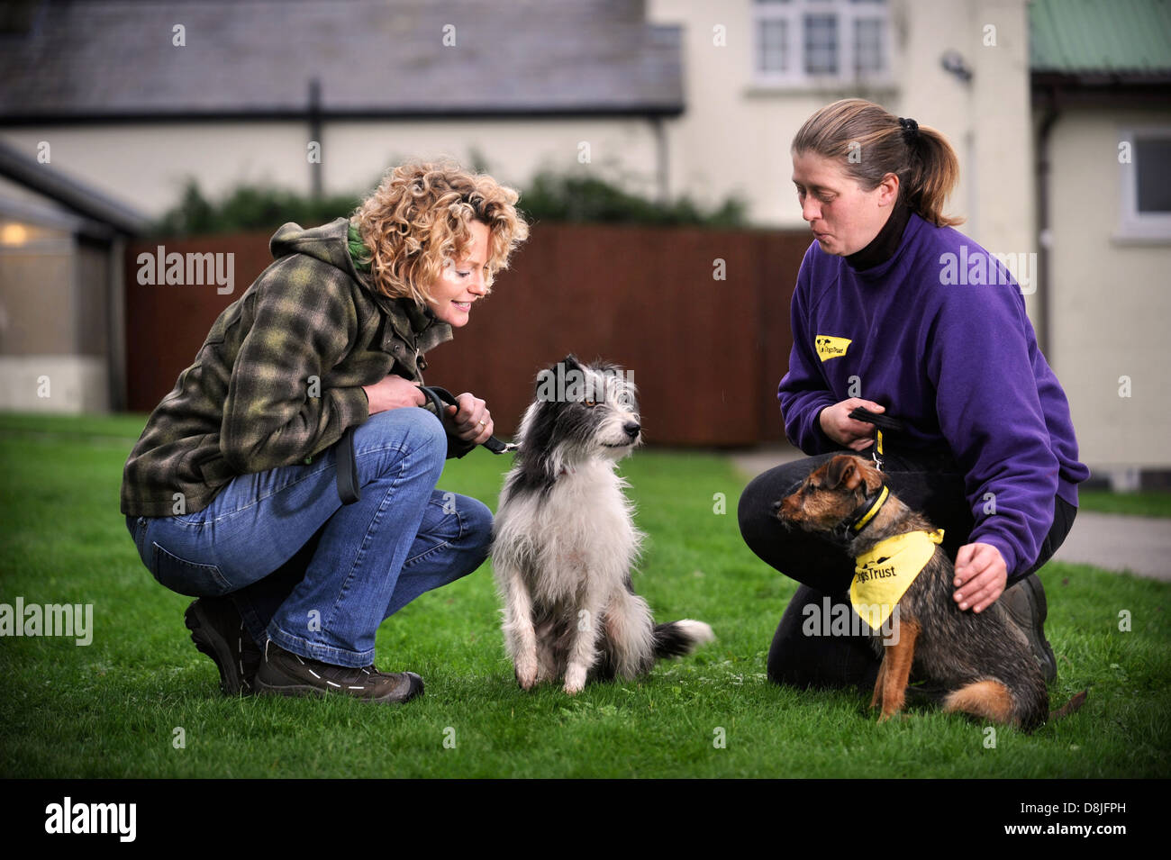 Kate Humble visits the Dogs Trust near Bridgend, S. Wales with her dog Badger where she is completing the adoption of a pet dog Stock Photo