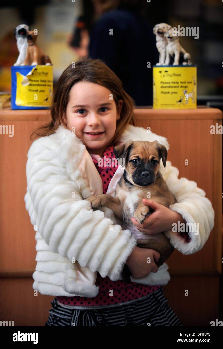 A young girl collects a rescued dog from the Dogs Trust near Bridgend, S. Wales UK Stock Photo