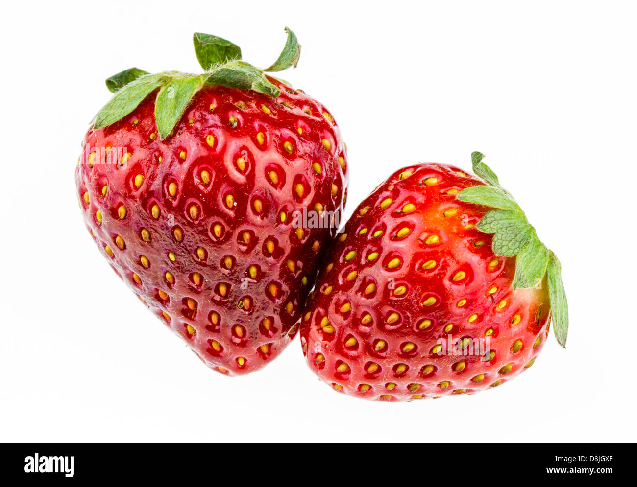 Two ripe strawberries isolated against a white background. Stock Photo