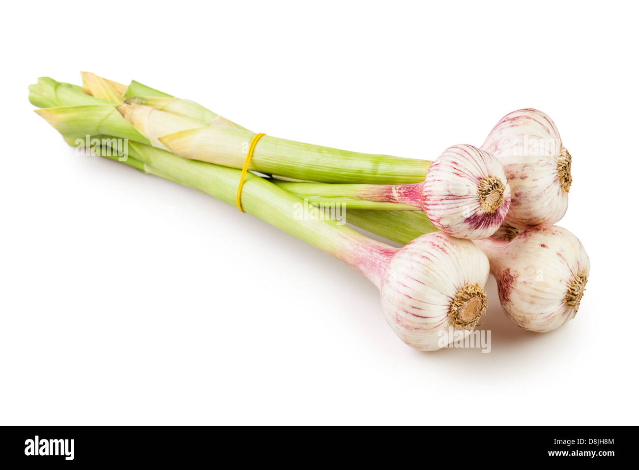 garlic bunch on white background Stock Photo - Alamy