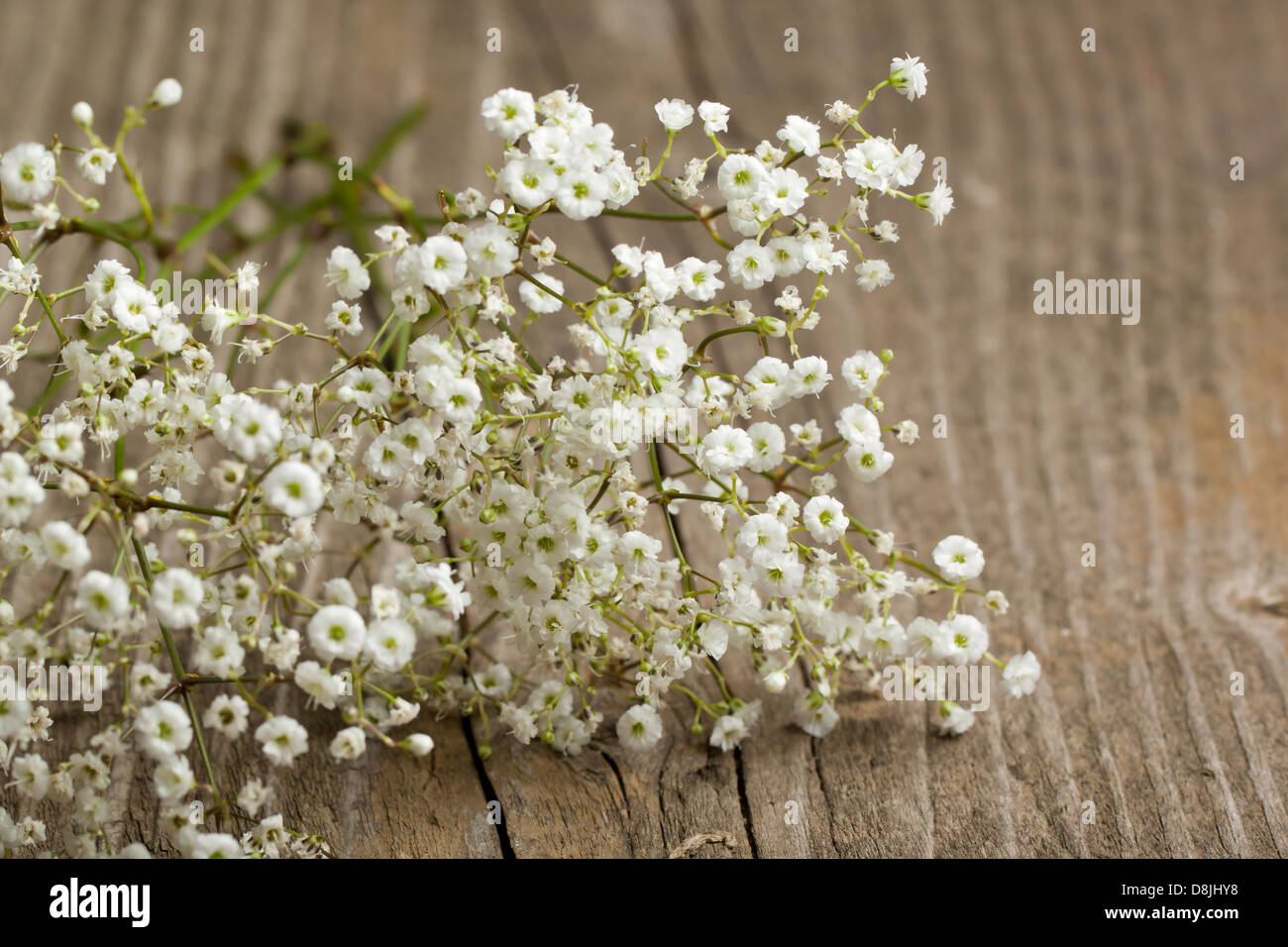 bunch of Gypsophila (Baby's-breath flowers) on old wooden table Stock Photo