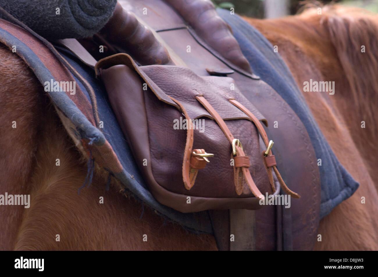 Confederate cavalry saddlebag, Shiloh National Military Park, Tennessee. Digital photograph Stock Photo