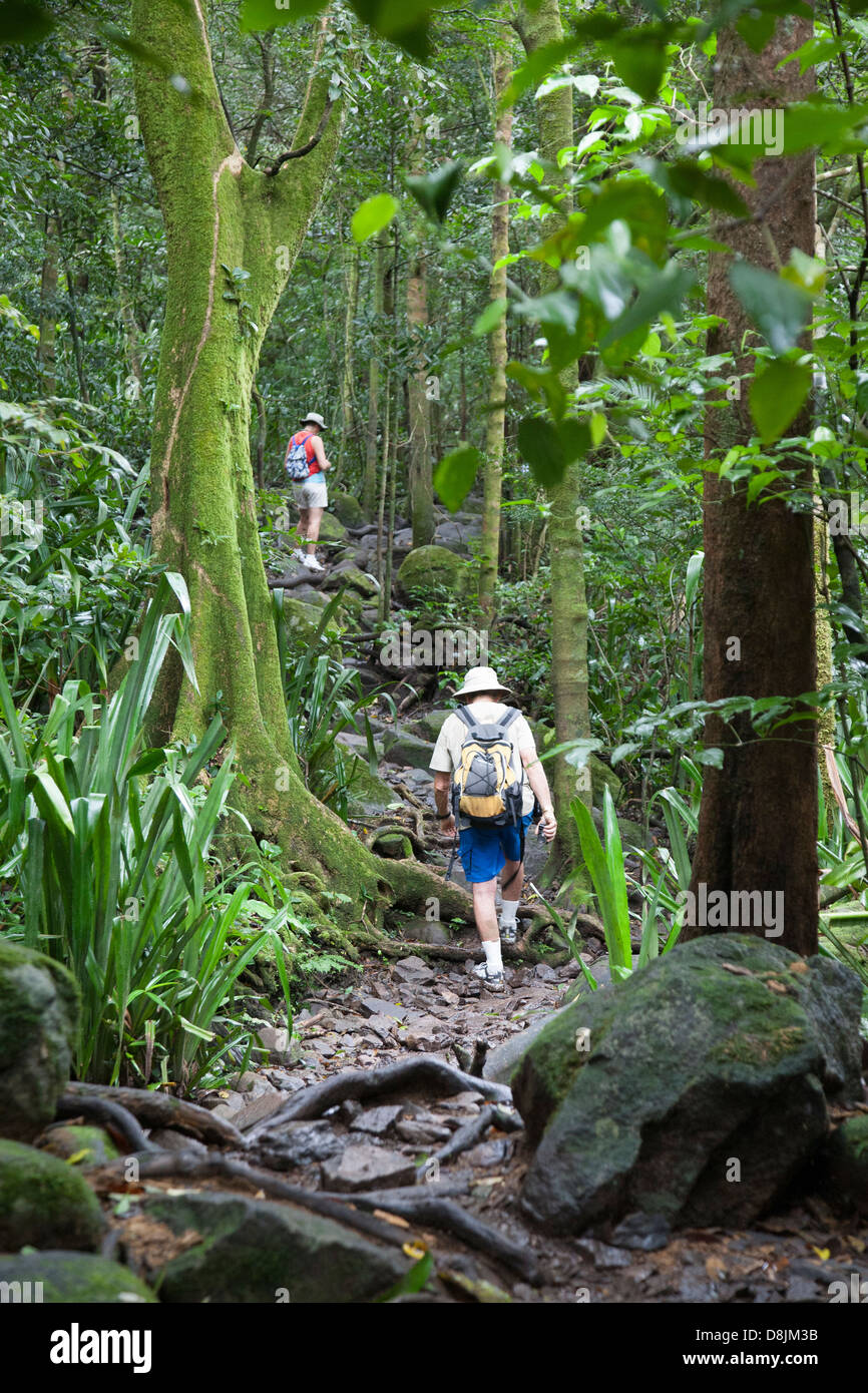 Trekking in Rincon de la Vieja National Park, Costa Rica Stock Photo