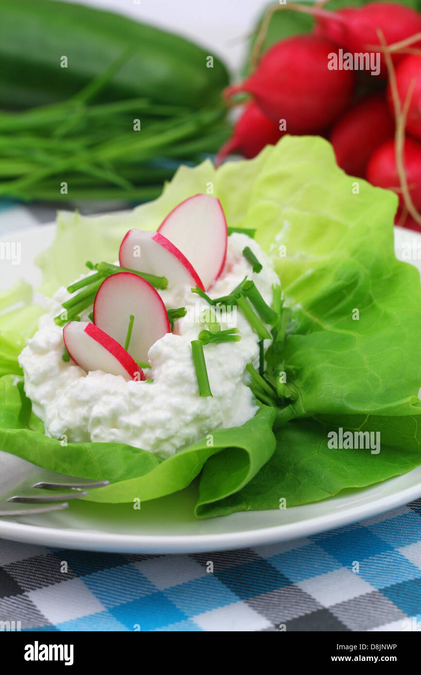 Cottage cheese with chives and radish Stock Photo