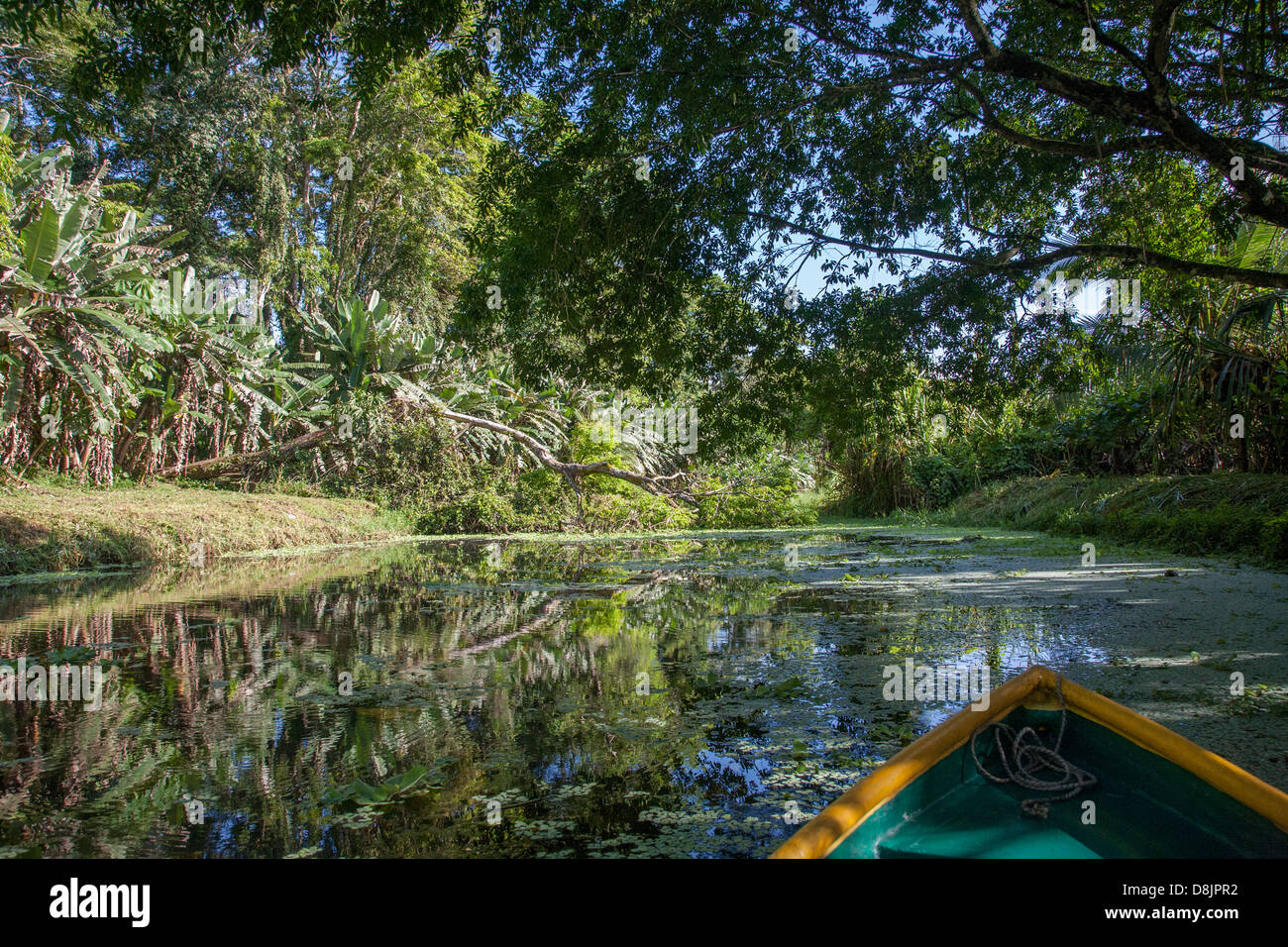 Canoe tour on the Rio Estrella, Cahuita National Park, Costa Rica Stock Photo