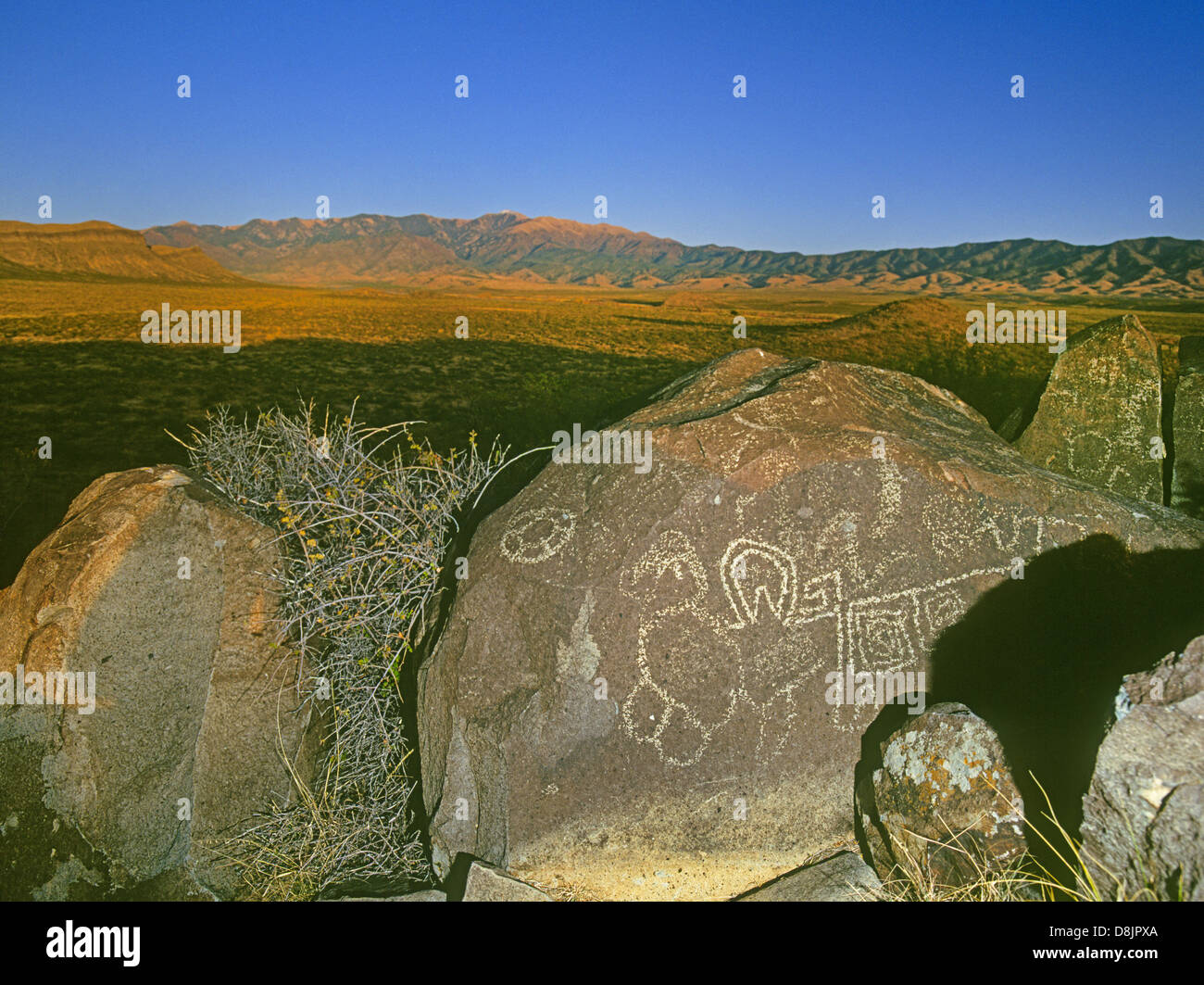 Tularosa Mogollon Indian Petroglyphs on sandstone boulders at the Three Rivers Petroglyph Site near Three Rivers New Mexico Stock Photo