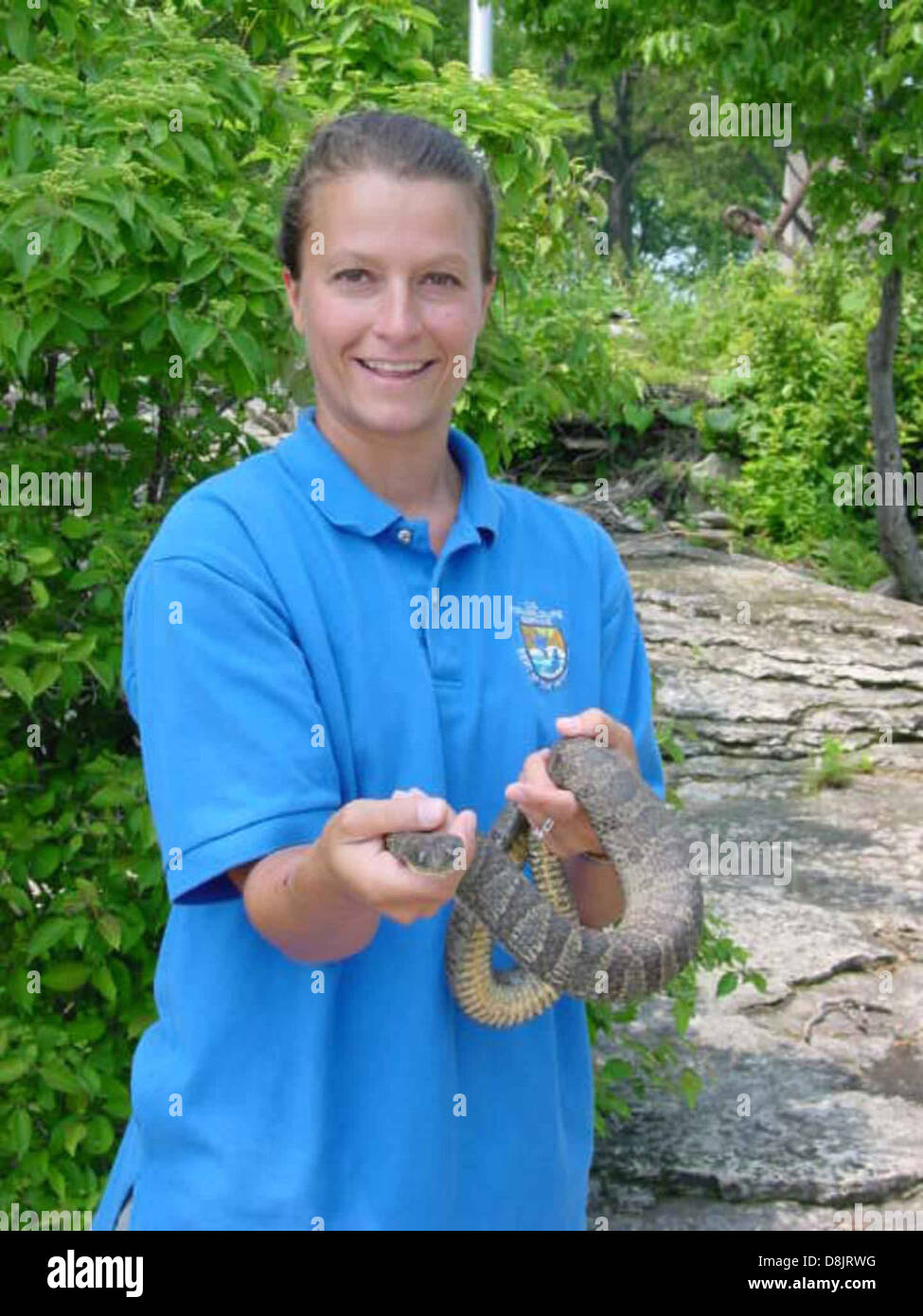 Person holds lake eir water snake nerodia sipedon insularum. Stock Photo