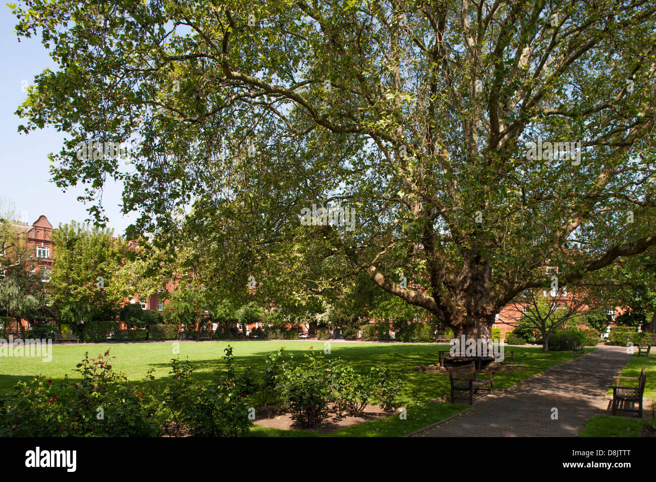 housing development Queens Club Gardens Fulham London W14 Stock Photo