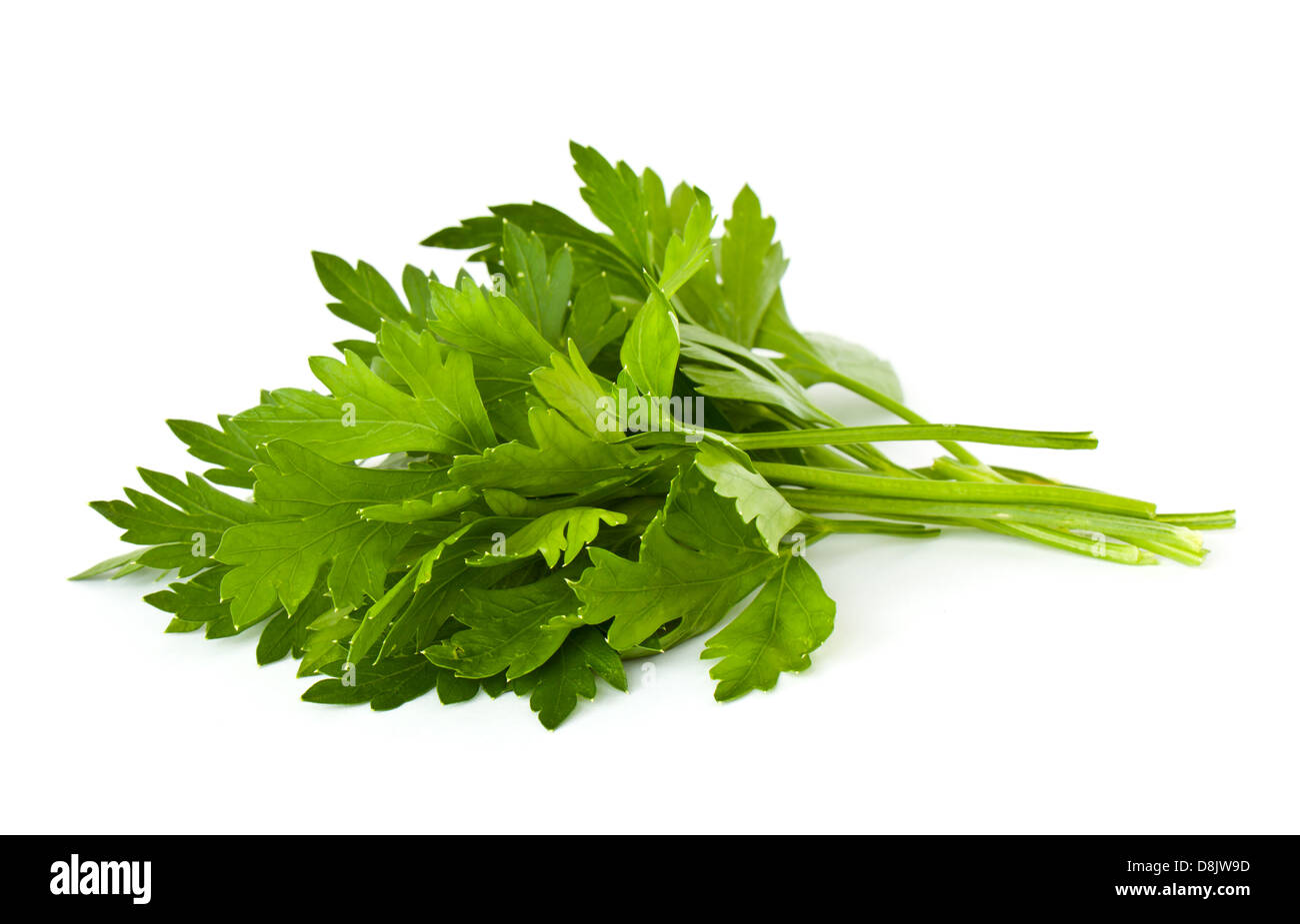 https://c8.alamy.com/comp/D8JW9D/leaves-of-parsley-isolated-on-white-background-D8JW9D.jpg