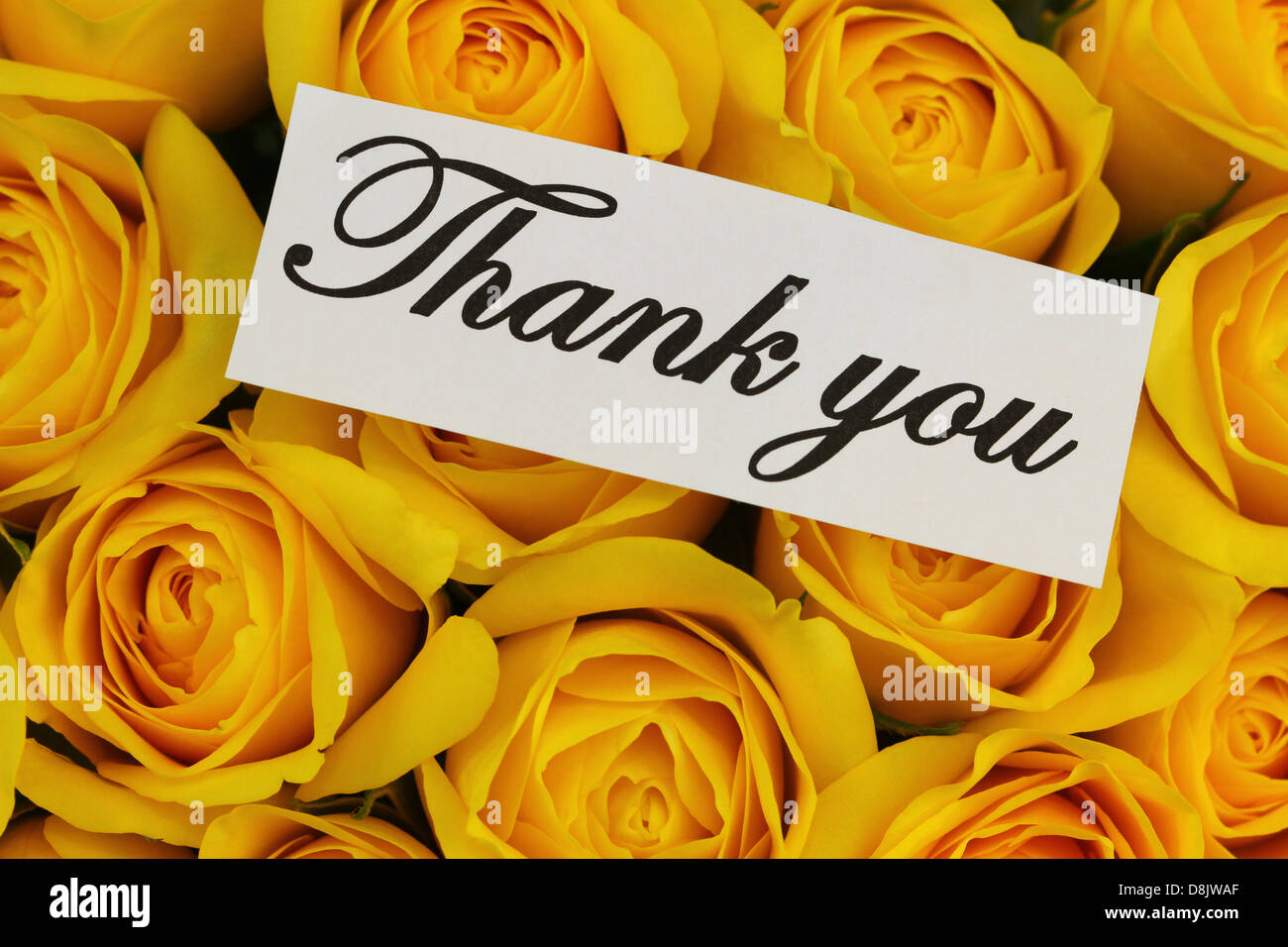 Rose Thank You Images With Flowers : I Thank You And Offer You Some