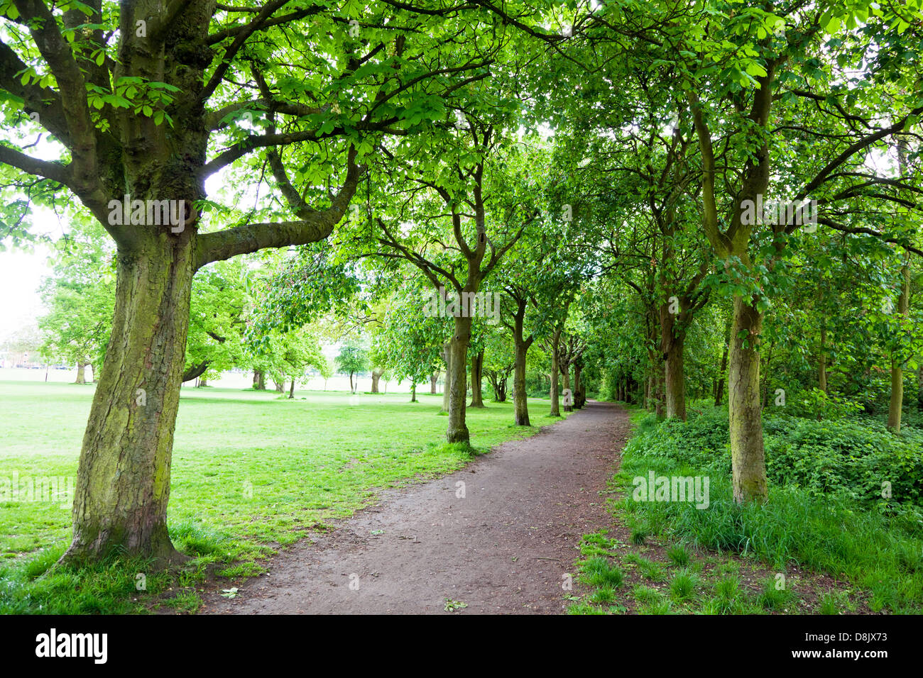 Wandsworth Common London UK Stock Photo - Alamy