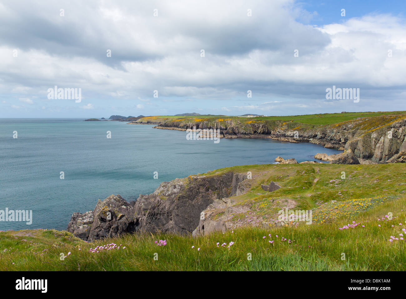 Pembrokeshire Coast Path known as Llwybr Arfordir Sir Benfro in Welsh forms part of the Wales Coast Path Stock Photo