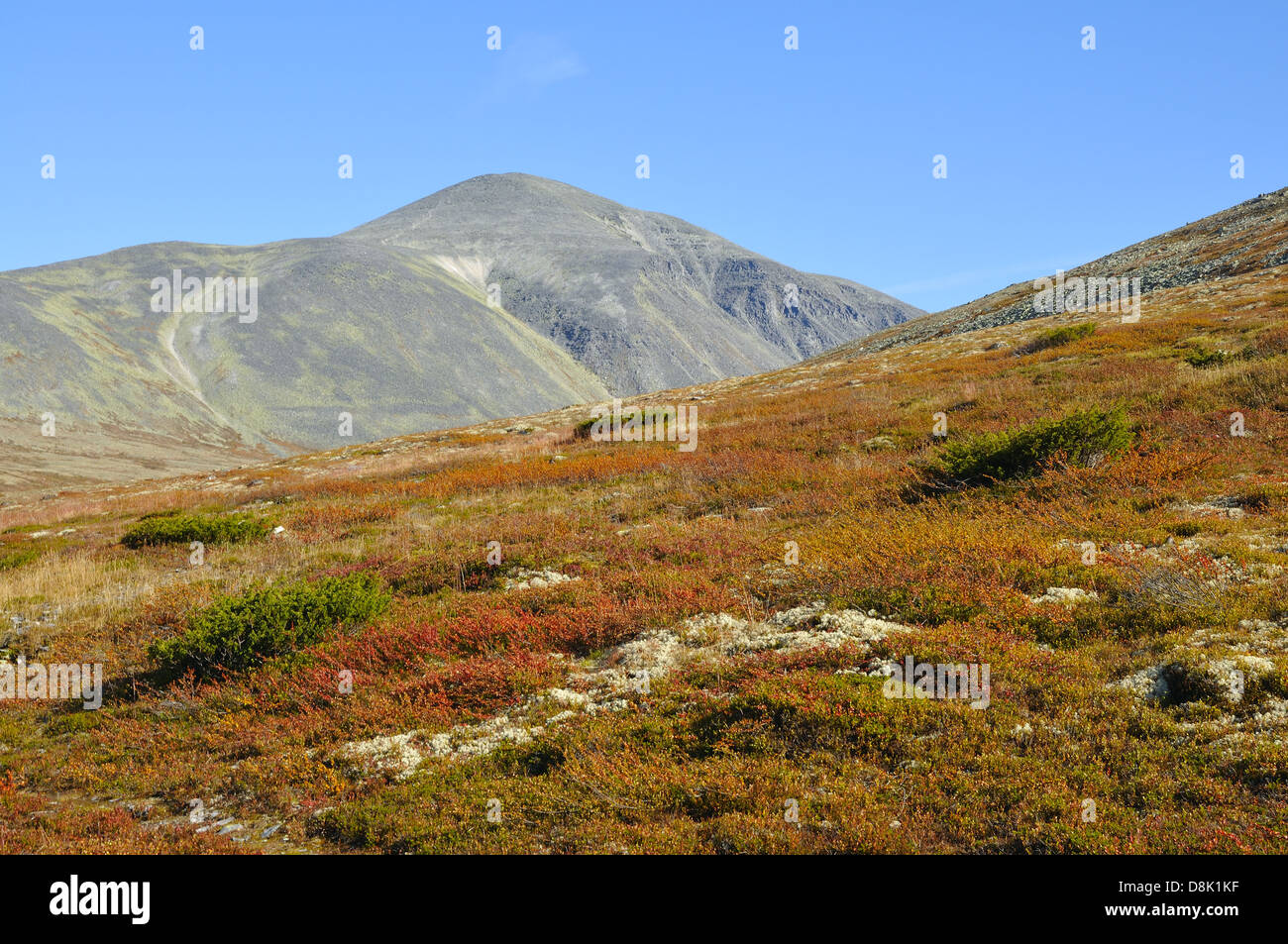 High Resolution Rondane Hochplateau hi-res stock photography and images - Alamy