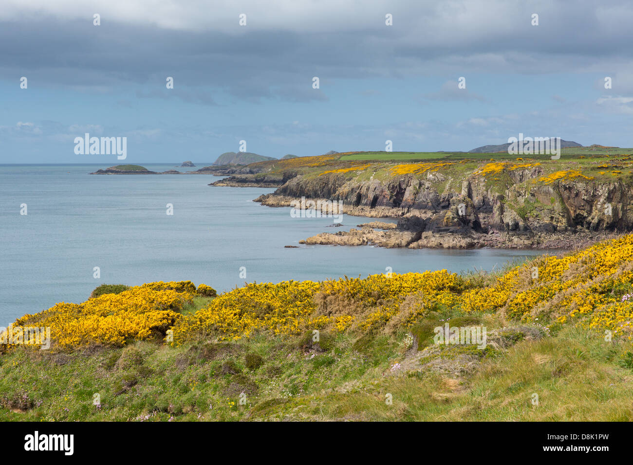Pembrokeshire Coast Path known as Llwybr Arfordir Sir Benfro in Welsh forms part of the Wales Coast Path Stock Photo