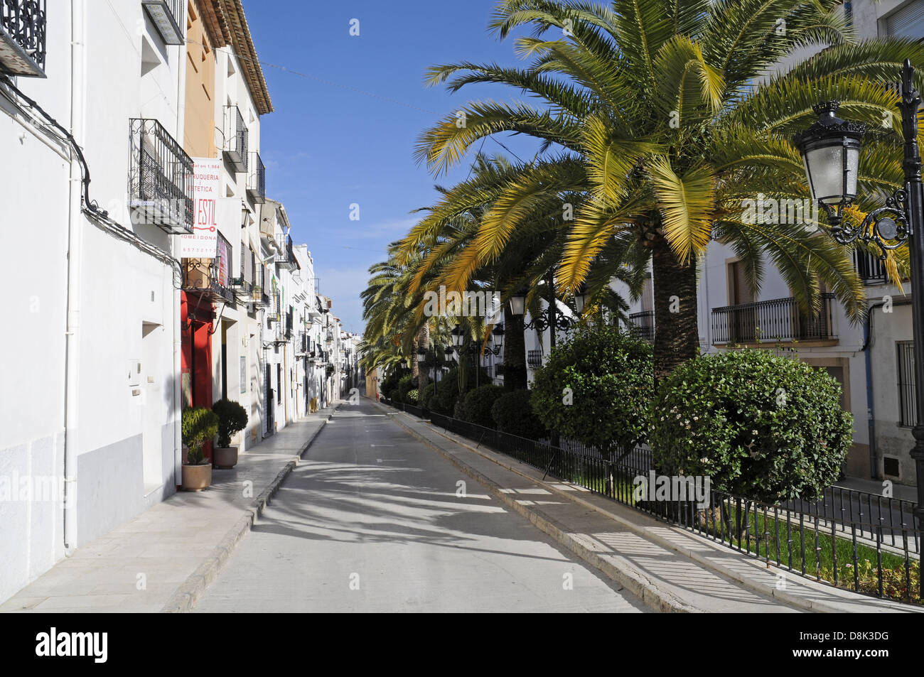 Road with palm trees in the old town Stock Photo