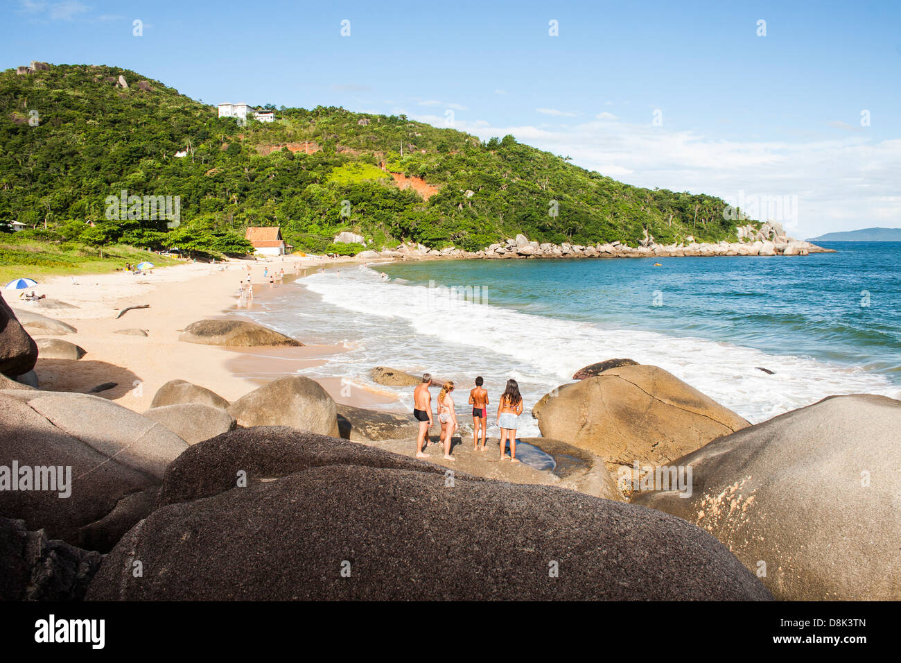 Tainha hi-res stock photography and images - Alamy