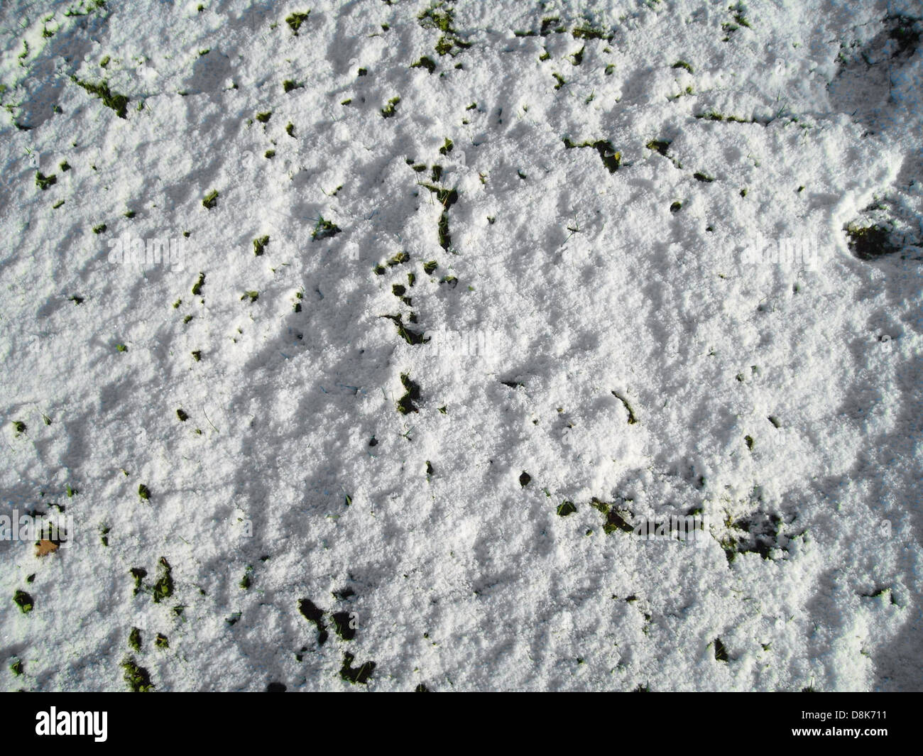 Snow grass ground high resolution Stock Photo Alamy
