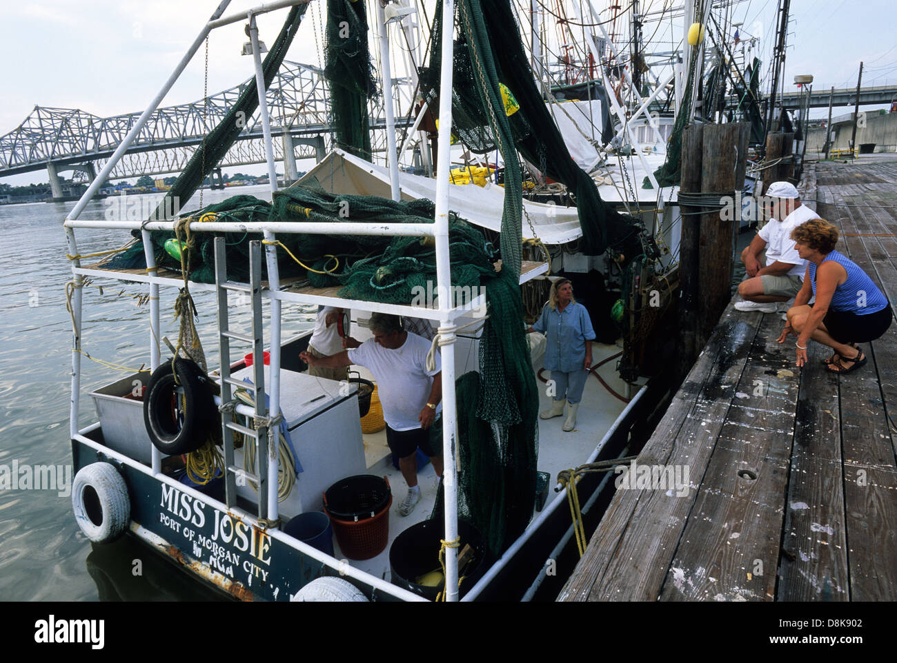 Elk2834470 Louisiana, Cajun Country, Mississippi River, City