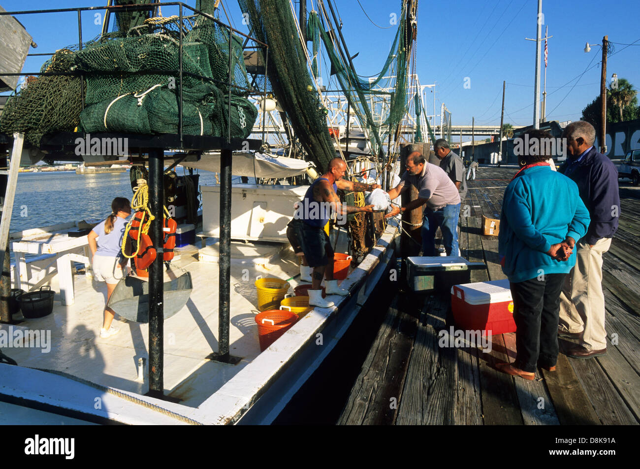 Elk2834471 Louisiana, Cajun Country, Mississippi River, City