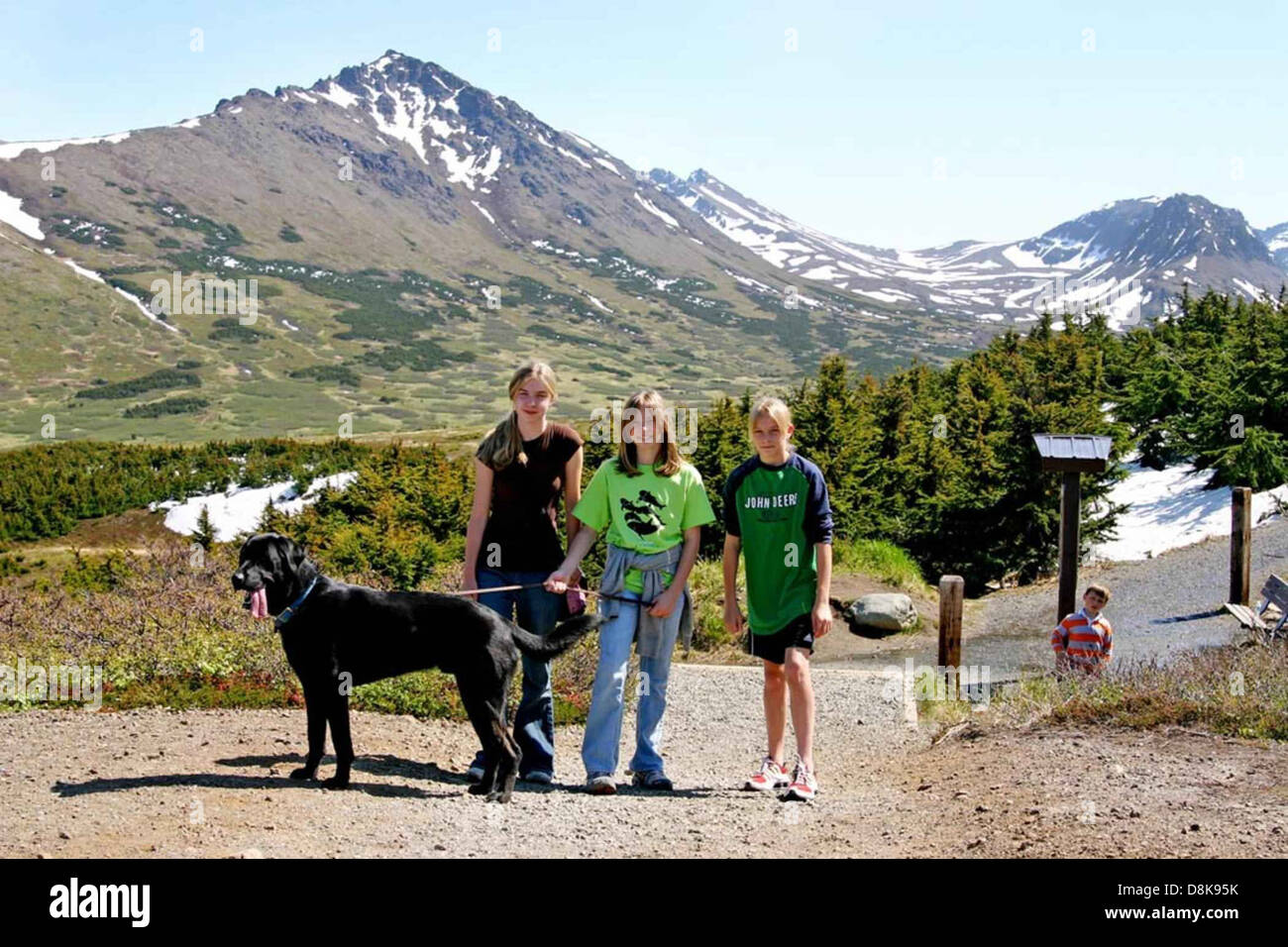 Three girls hiking together on a mountain trail with their dog ...