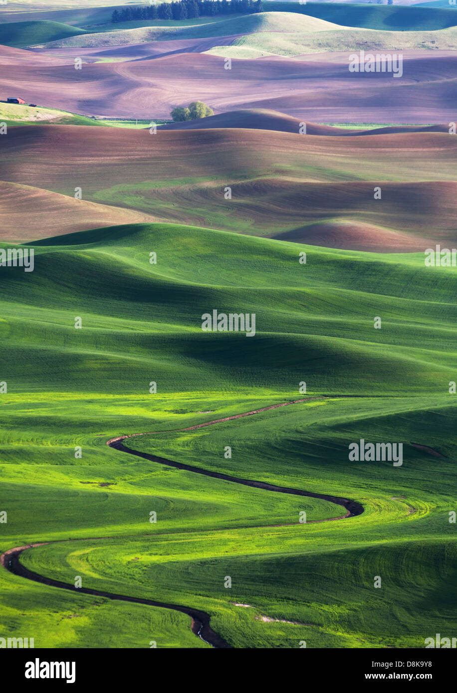 rolling hill and Farm Land, green wheat fields Stock Photo - Alamy
