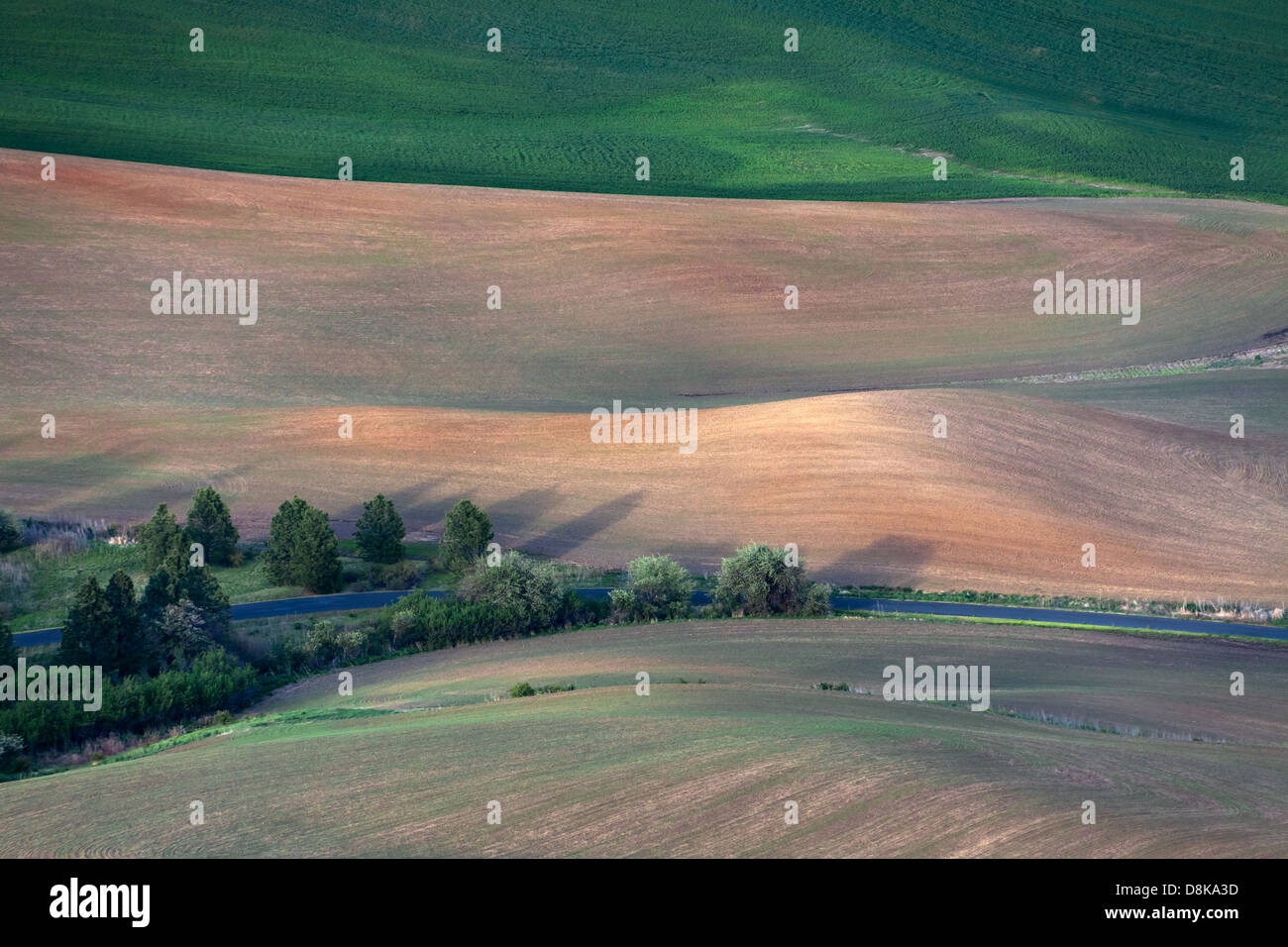 rolling hill and Farm Land, green wheat fields Stock Photo - Alamy
