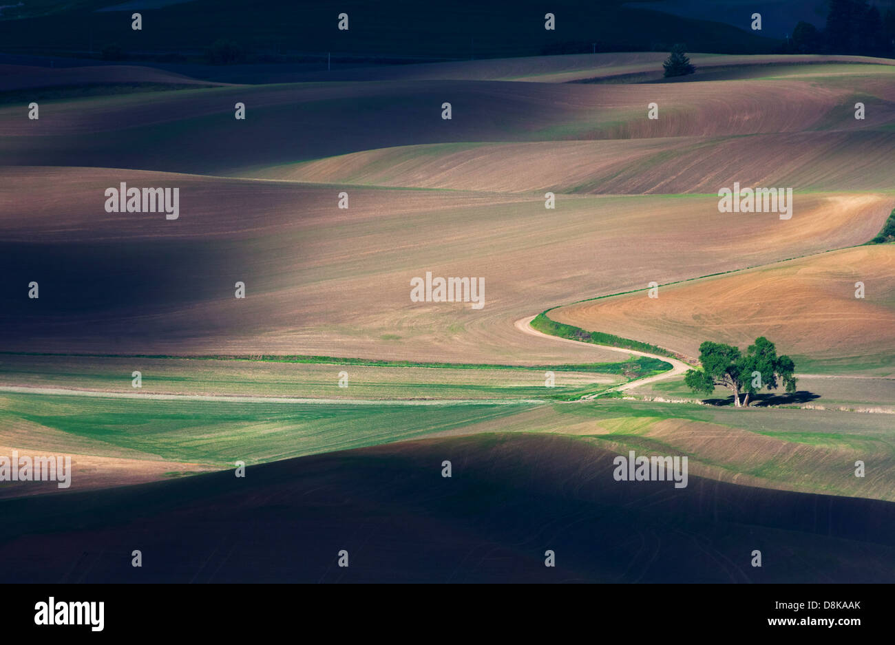 rolling hill and Farm Land, green wheat fields Stock Photo - Alamy