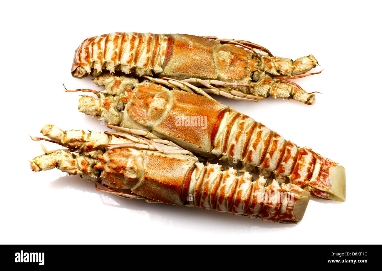 Champagne lobster Cut Out Stock Images & Pictures Alamy