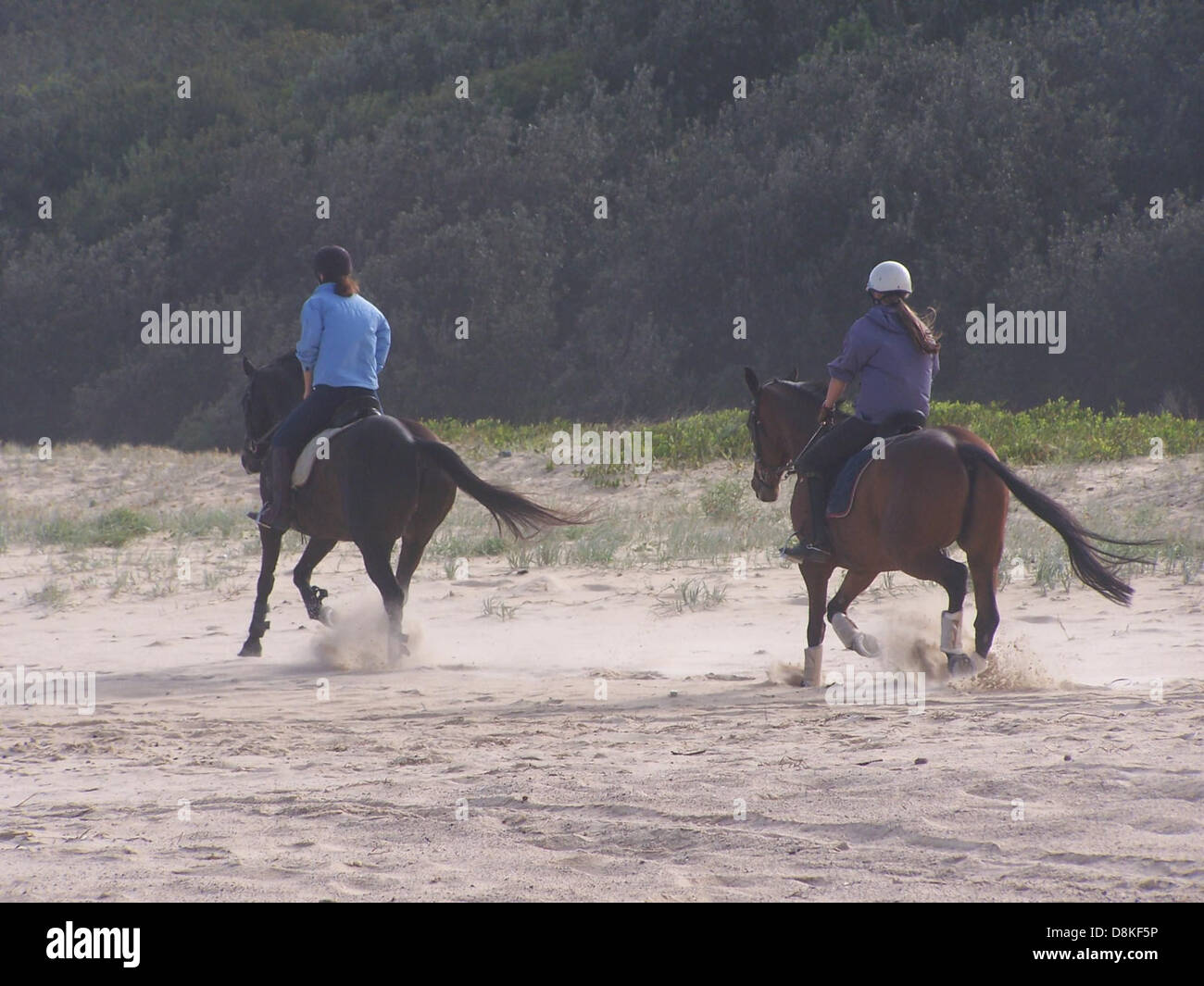 This image shows a person riding a horse in an outdoor setting ...