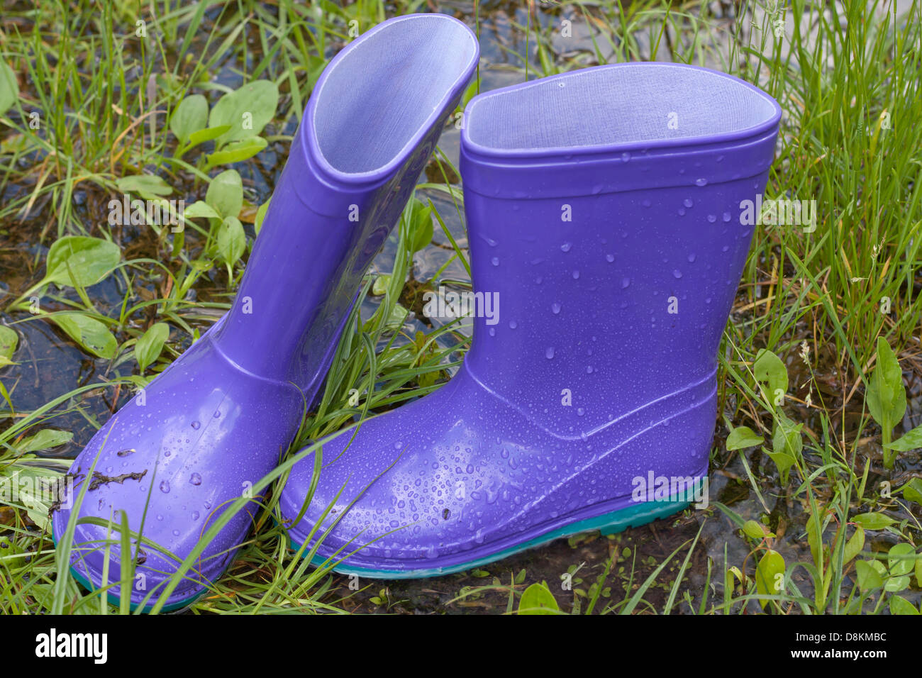 Wellingtons in spring rainy day on green grass Stock Photo