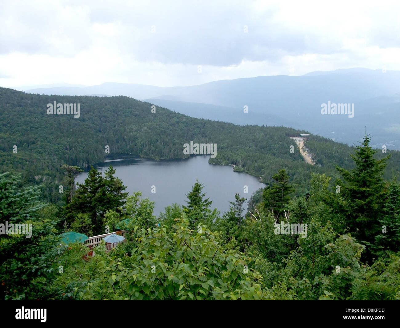 Lake in the middle of a forest Stock Photo - Alamy