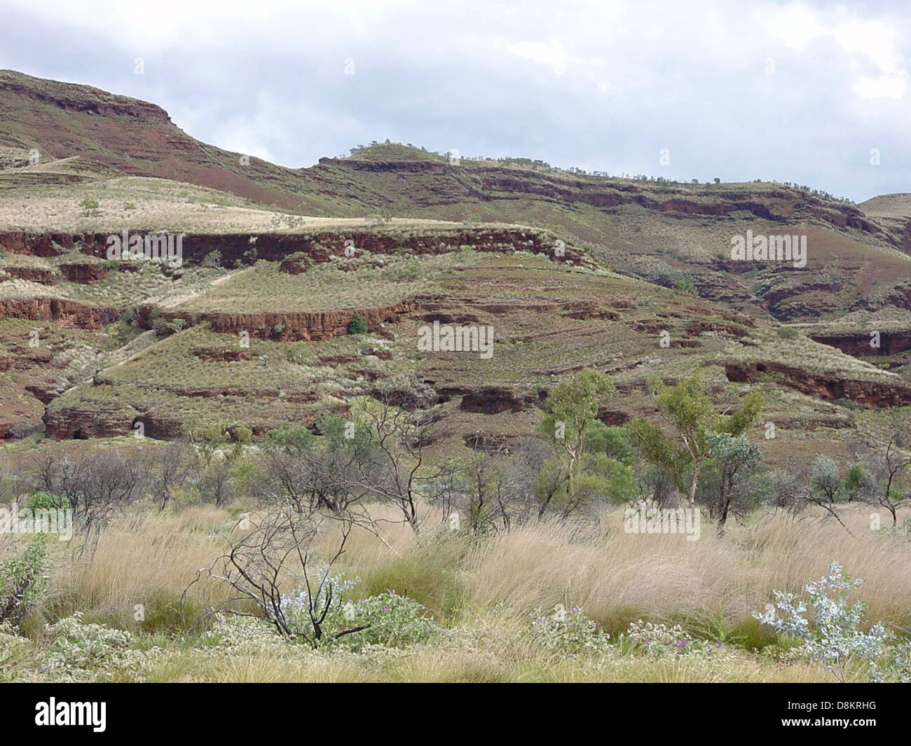 The rock strata along Munjina Wittenoom Road are showcased, displaying various layers of rock formations. These geological features provide insight into the Earth's history and natural processes. Stock Photo