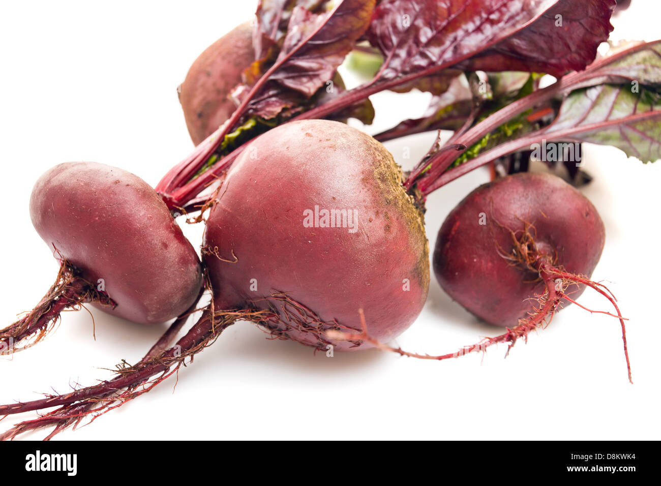 beet with leaves on a white background Stock Photo Alamy