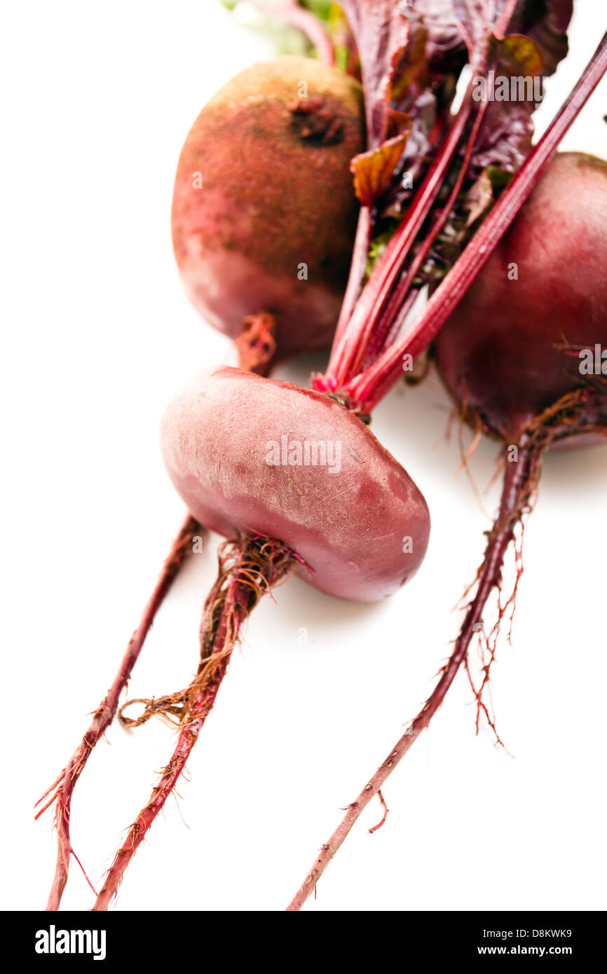 beet with leaves on a white background Stock Photo Alamy