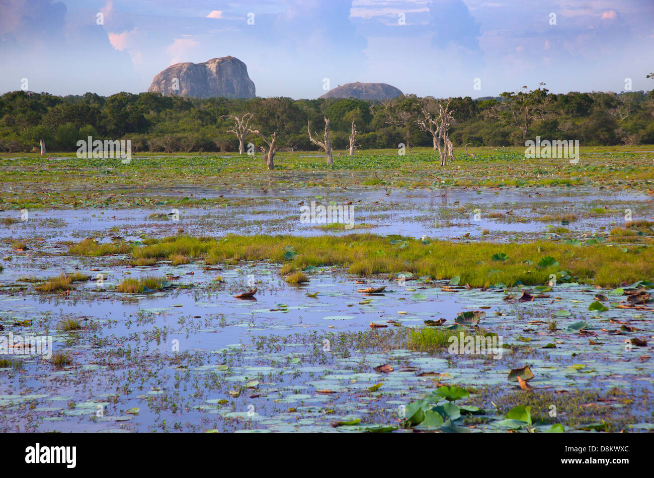 Yala National Park Sri Lanka Indian sub-continent Stock Photo