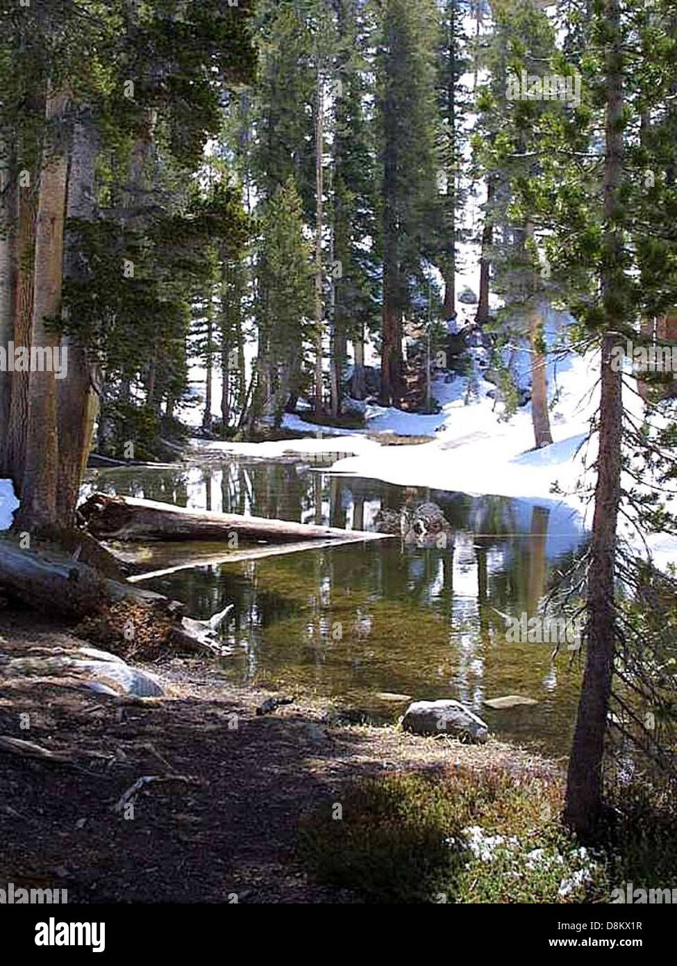 A serene landscape featuring a lake surrounded by trees and forests ...