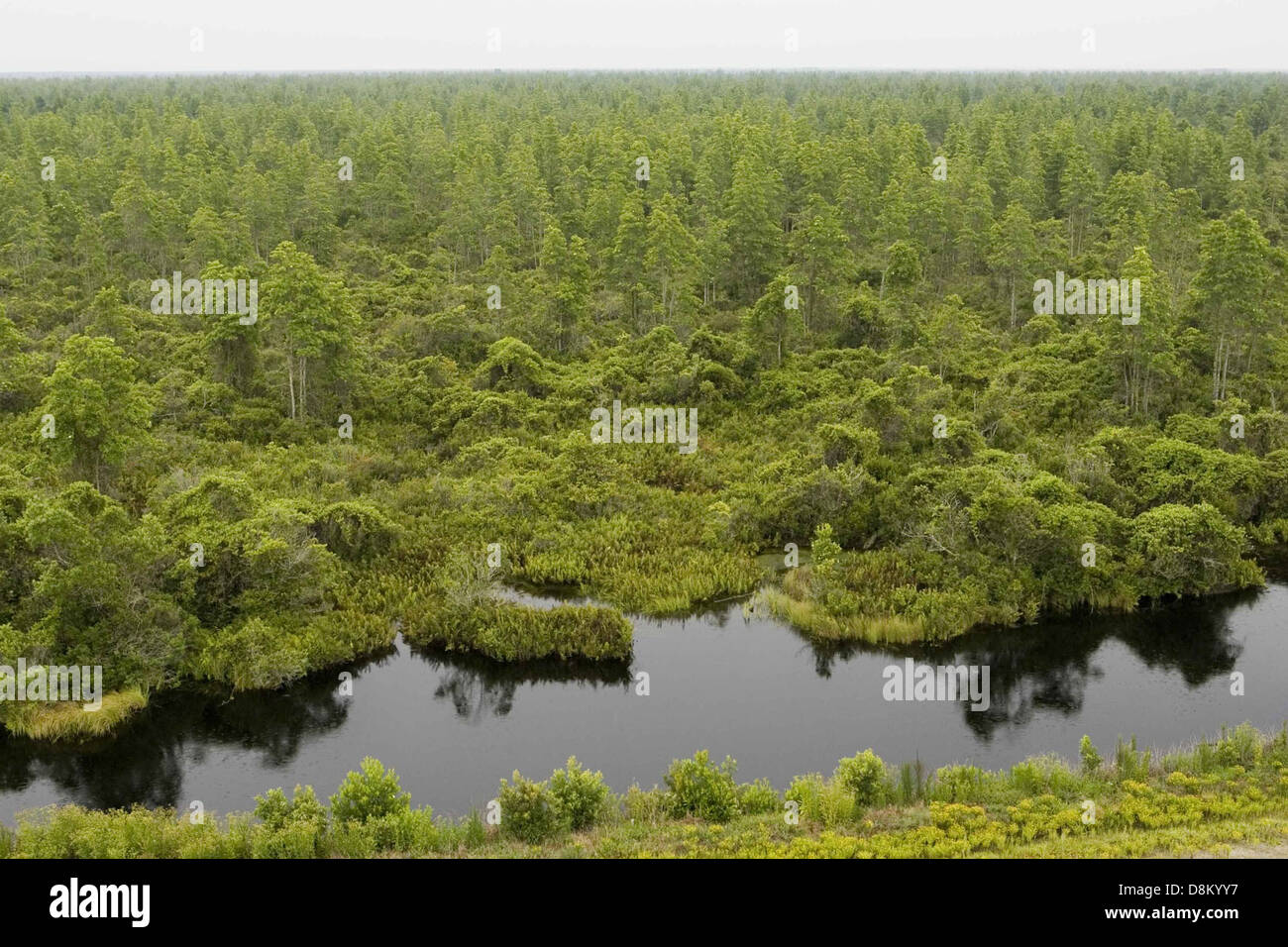 A scenic view from an observation tower overlooking a lake at the edge ...
