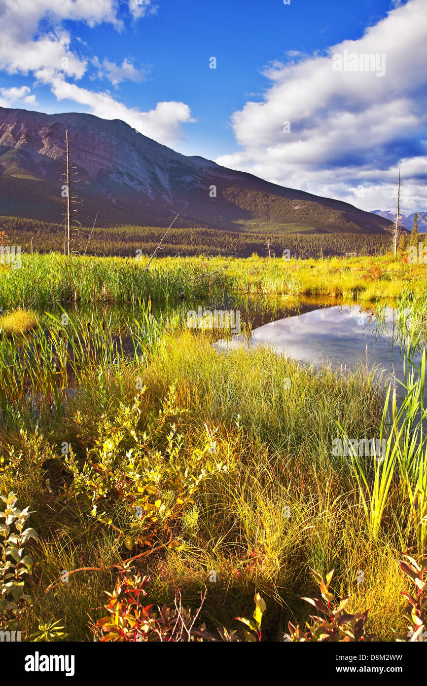 Fine Mellow autumn Stock Photo - Alamy