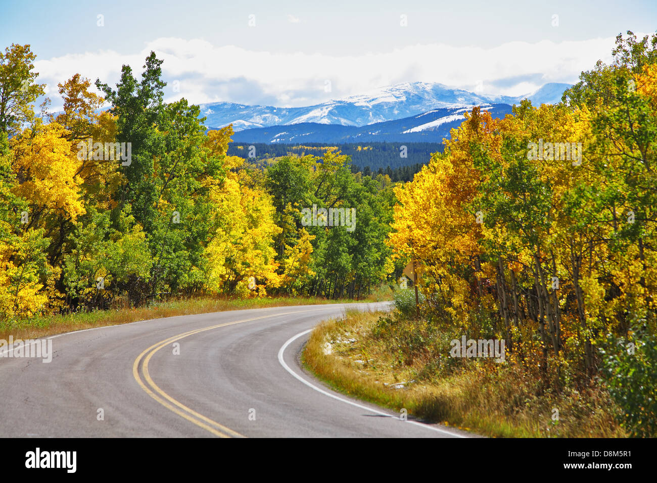 The road abruptly turns among trees Stock Photo Alamy