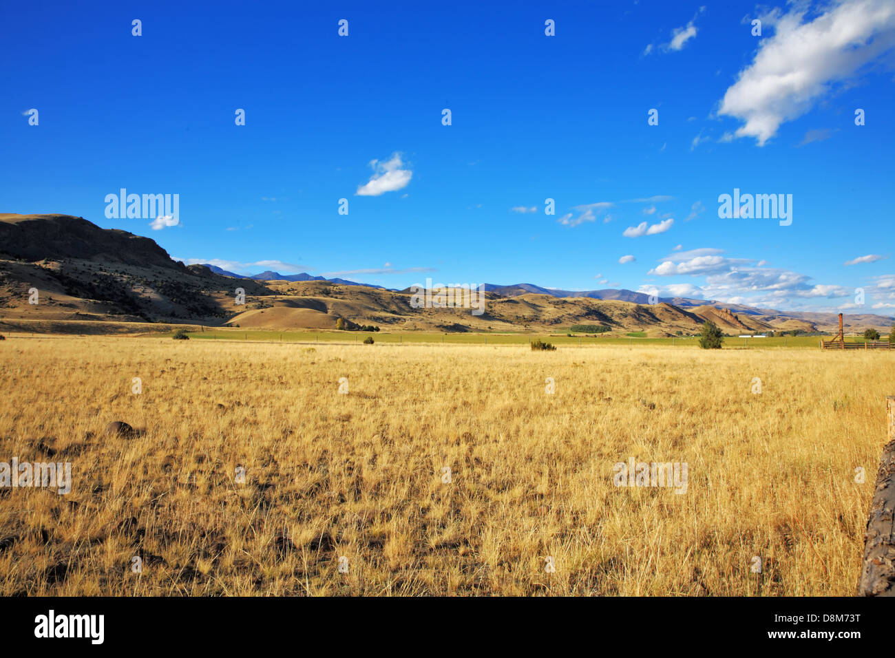 The prairie in autumn day Stock Photo - Alamy