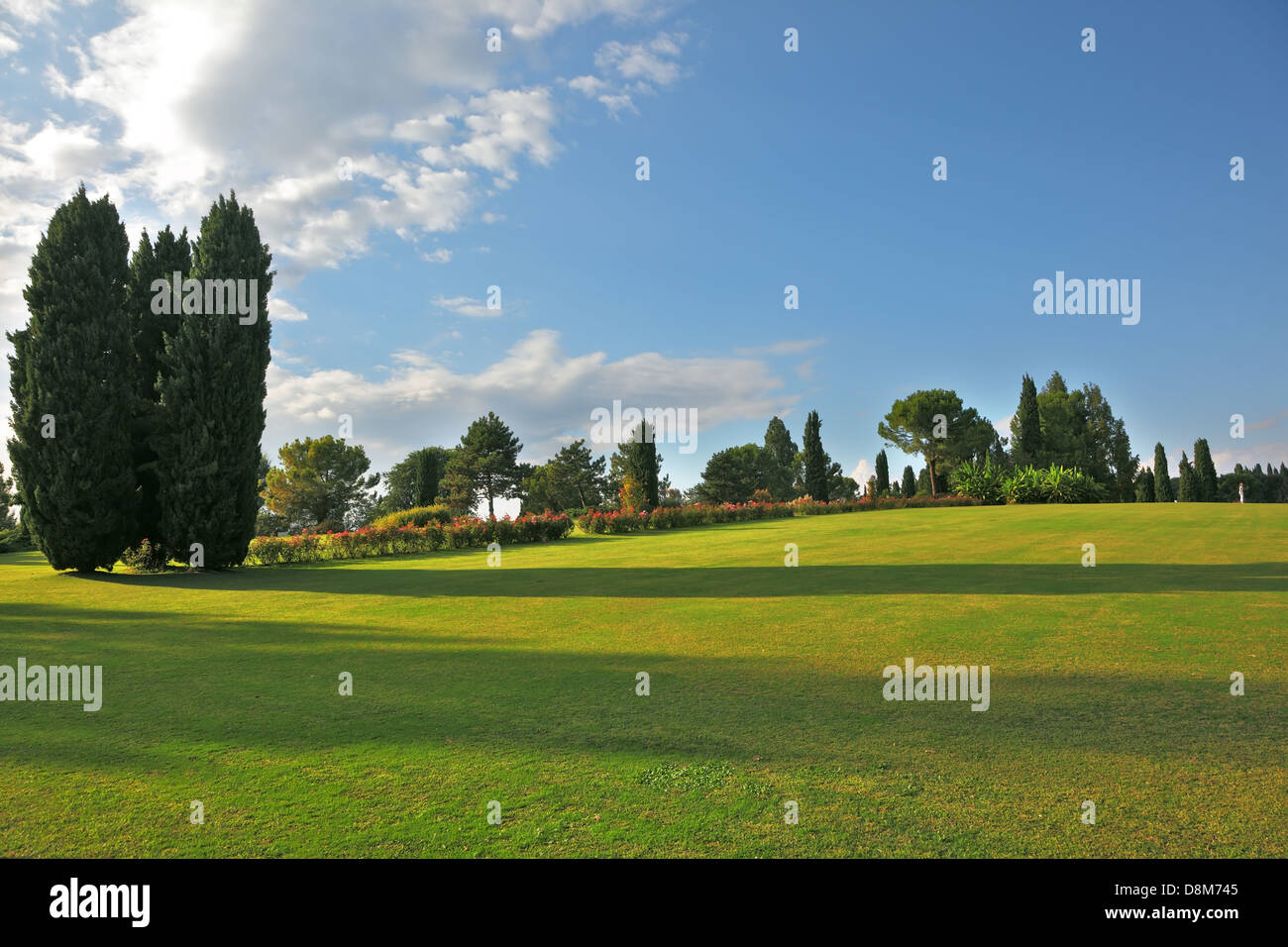 A green meadow Stock Photo - Alamy