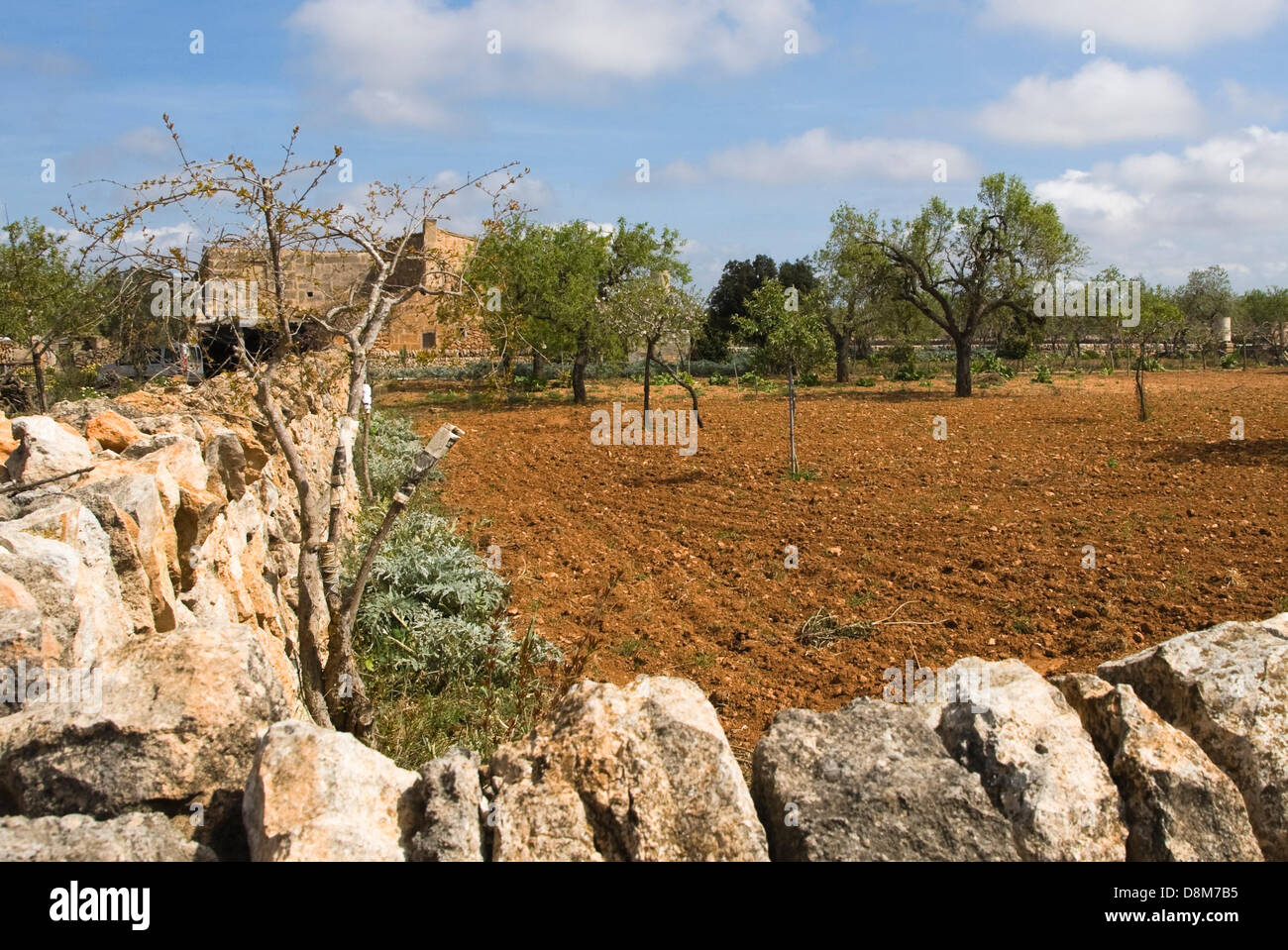 Farmhouse near Lucmajor, Mallorca Stock Photo