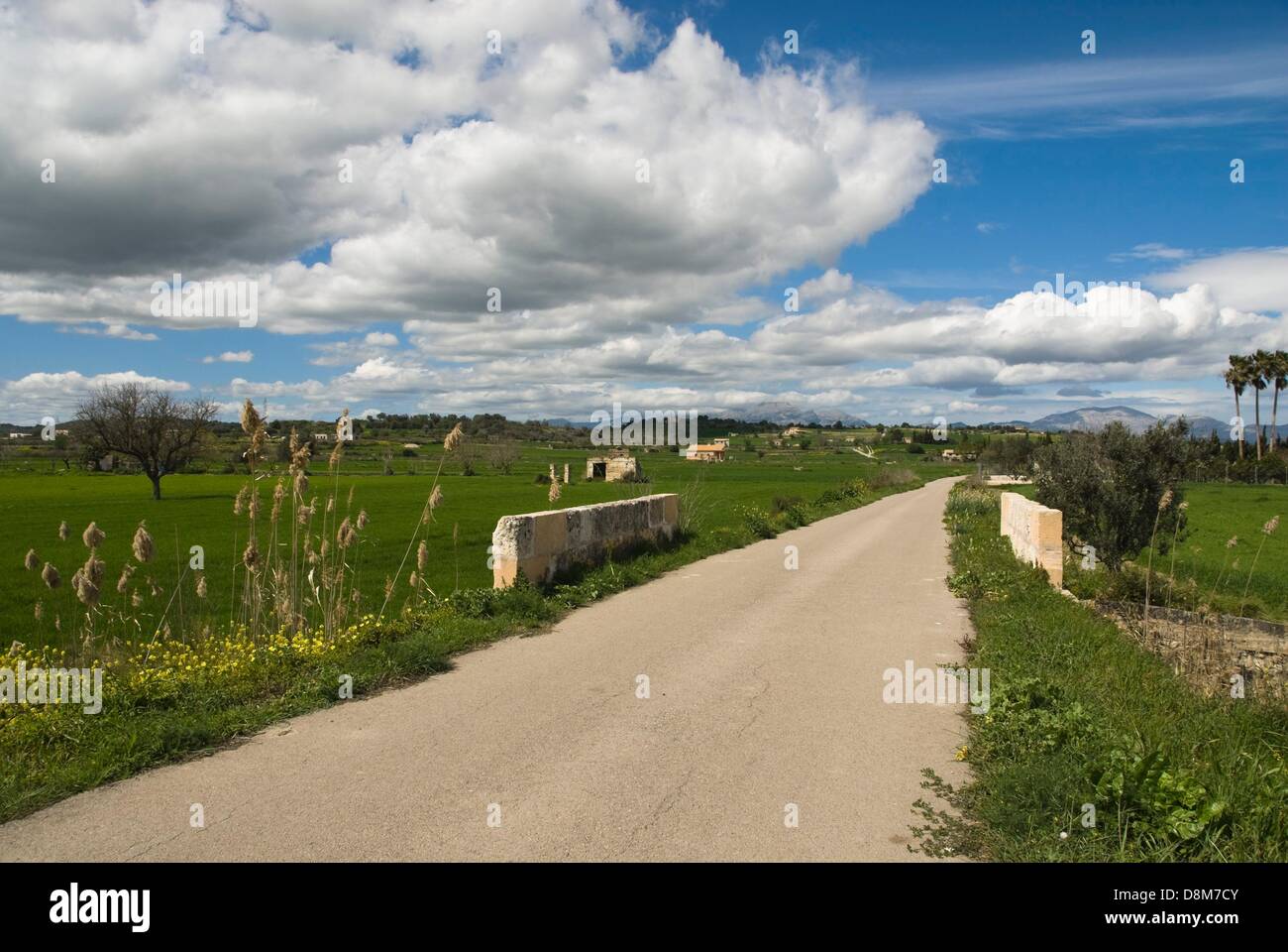 Landscape near Santa Margalida, Mallorca Stock Photo