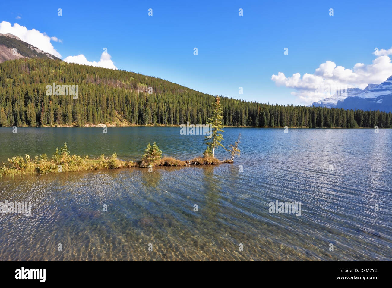 A tiny island in a lake coats Stock Photo